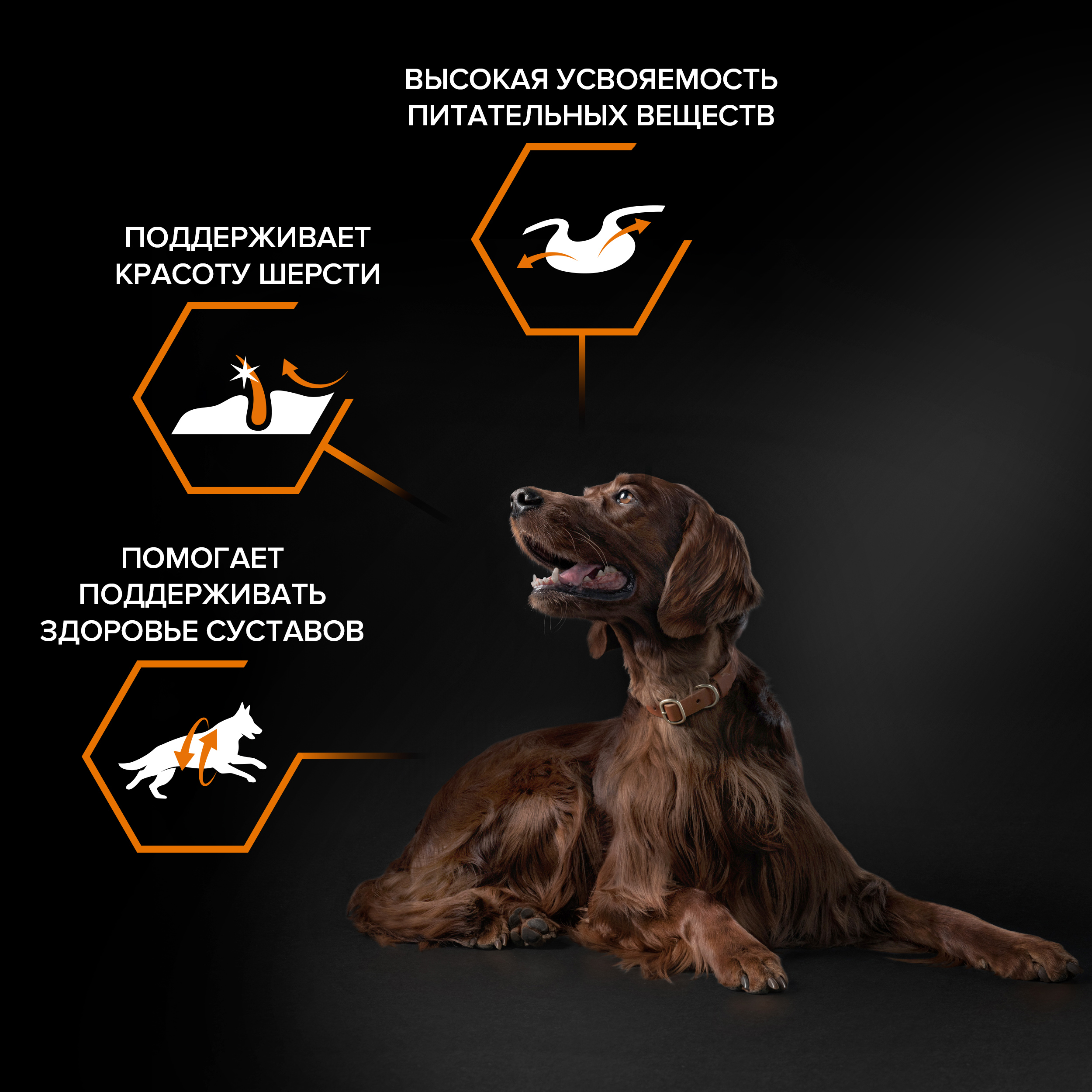 Сухой корм PRO PLAN® EVERYDAY NUTRITION для взрослых собак крупных пород с атлетическим телосложением с курицей, 14 кг