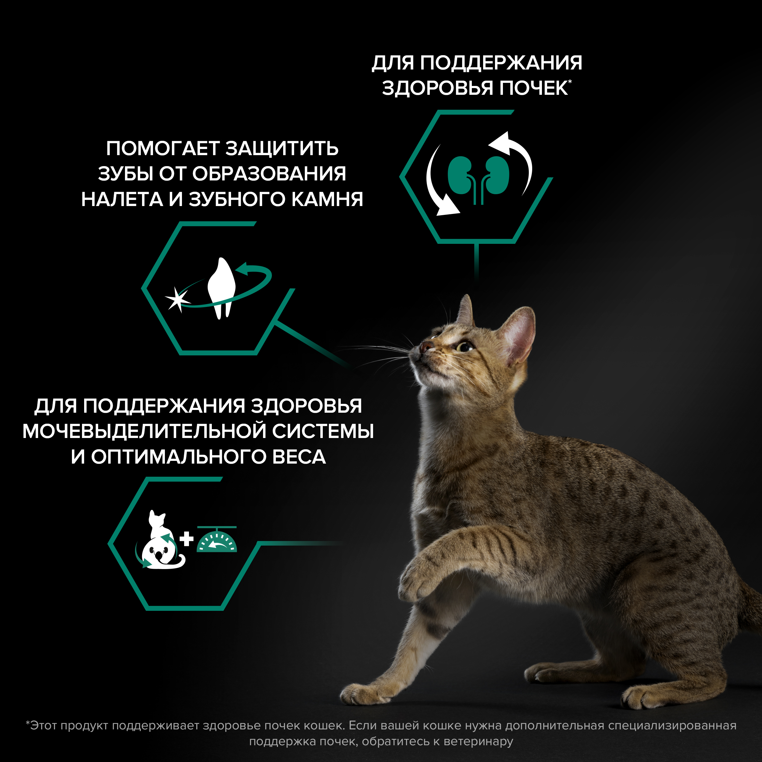 Сухой корм PRO PLAN® Sterilised RENAL PLUS для взрослых стерилизованных кошек для поддержания здоровья почек с кроликом, 1.5 кг