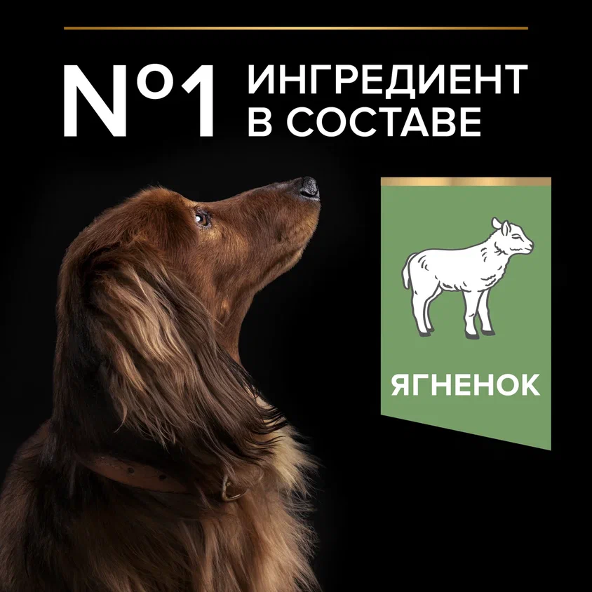 Сухой корм PRO PLAN® SENSITIVE DIGESTION для взрослых собак мелких и карликовых пород с чувствительным пищеварением с ягненком, 7 кг