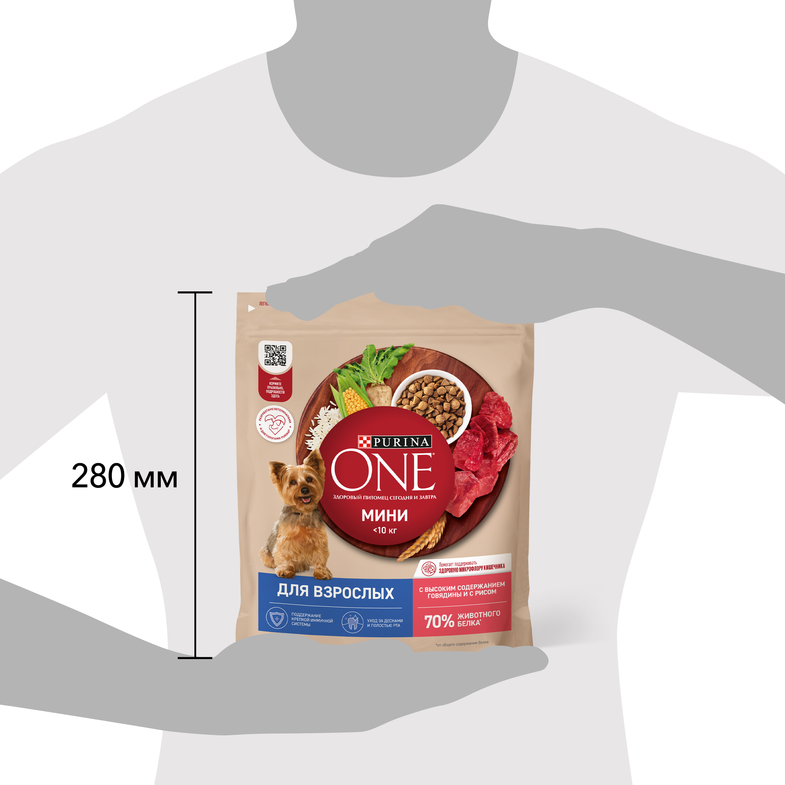 Сухой корм Purina ONE® МИНИ для взрослых собак мелких пород с говядиной и с рисом, 600 г