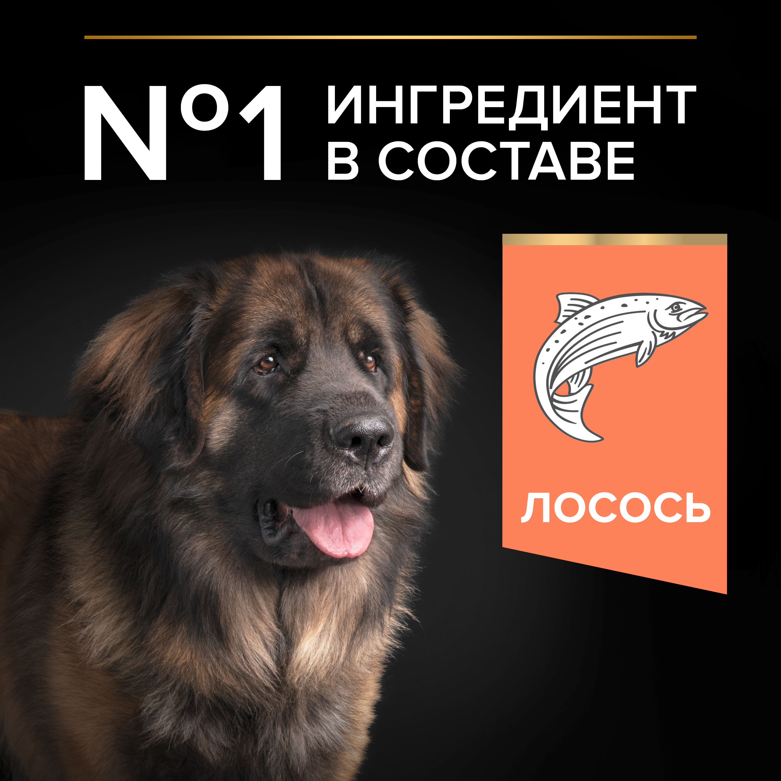 Сухой корм PRO PLAN® SENSITIVE SKIN для взрослых собак крупных пород с мощным телосложением с чувствительной кожей с лососем, 14 кг