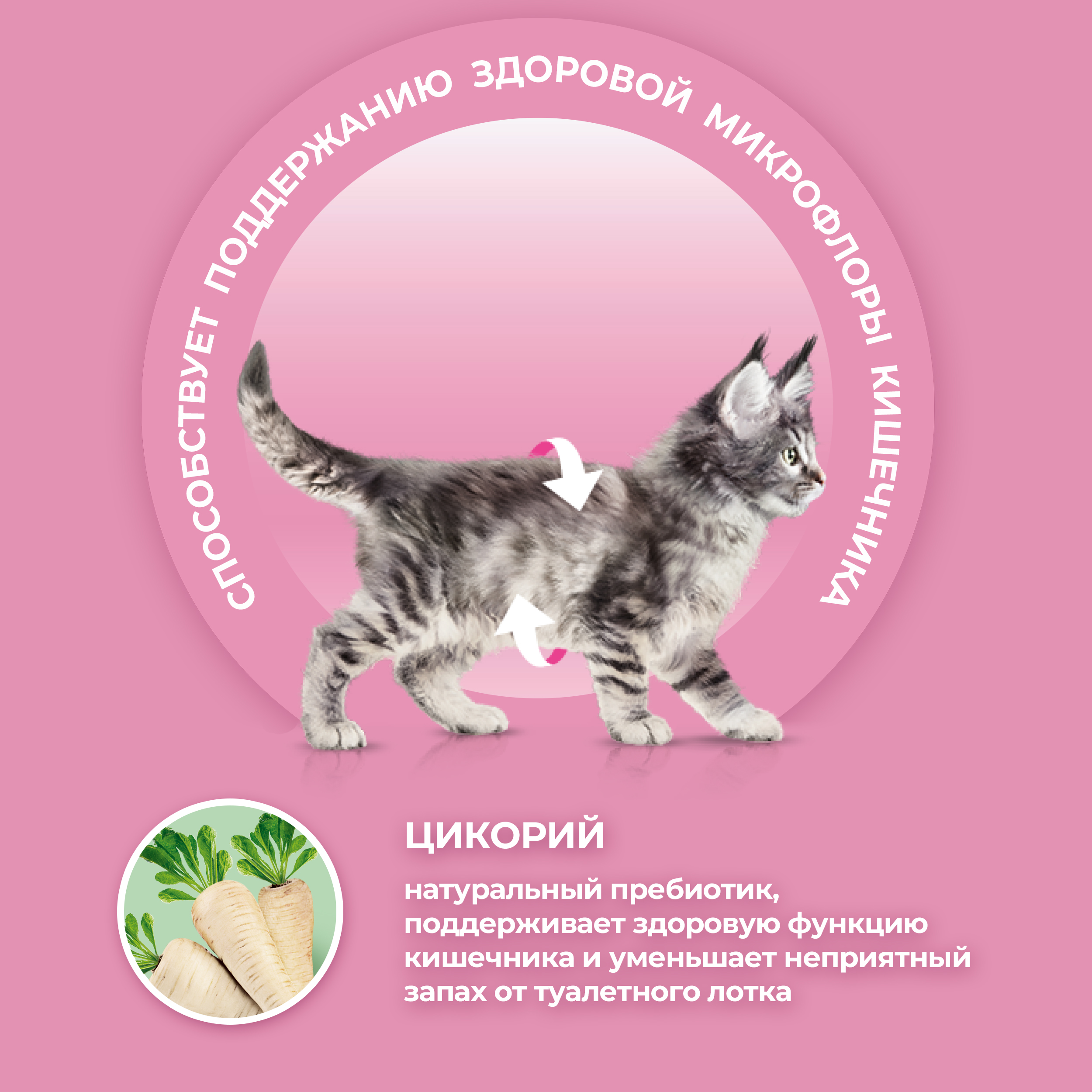 Сухой корм PURINA ONE® для котят с курицей 200 г