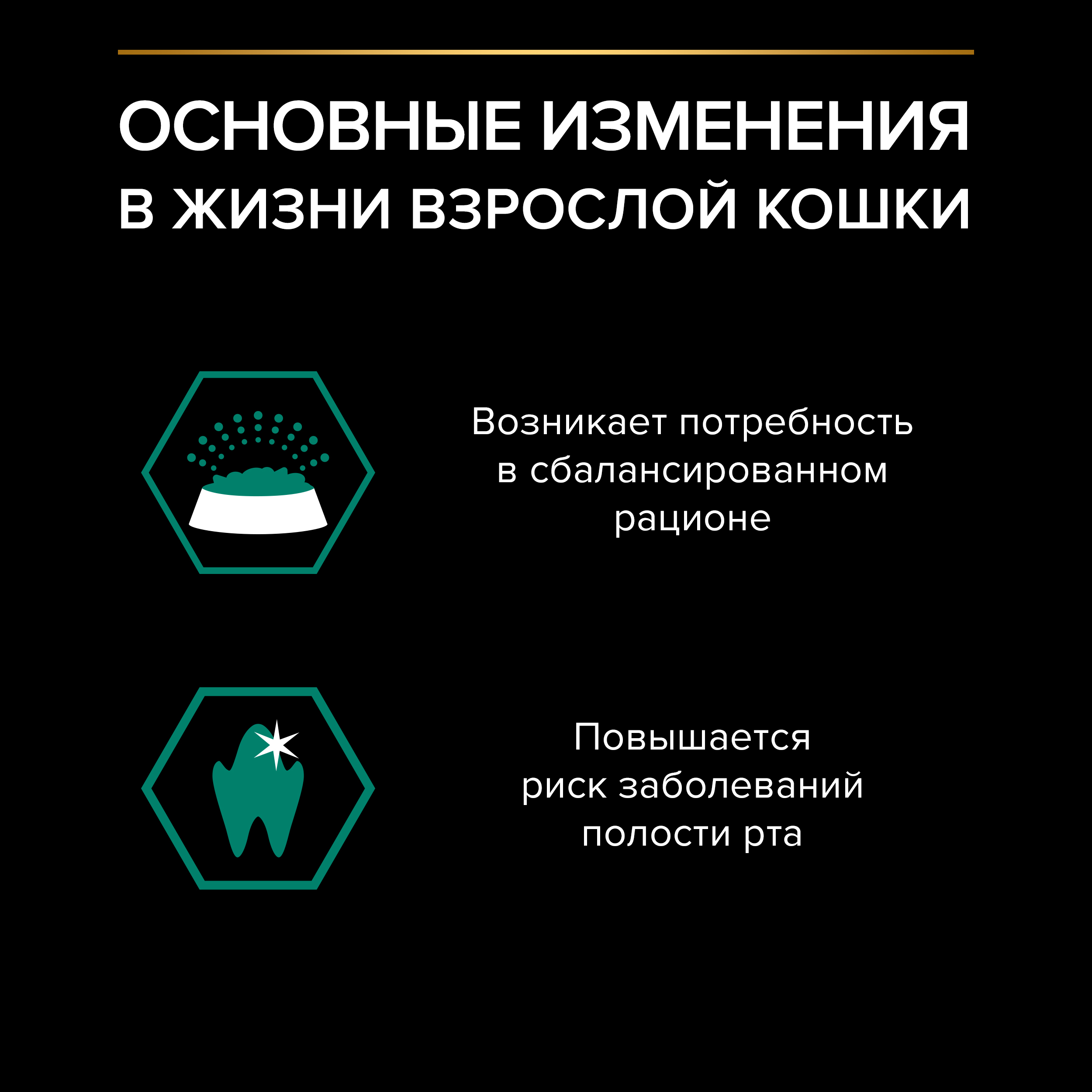 Влажный корм PRO PLAN® MAINTENANCE для взрослых кошек, с курицей в соусе, 85 г x 26 шт.