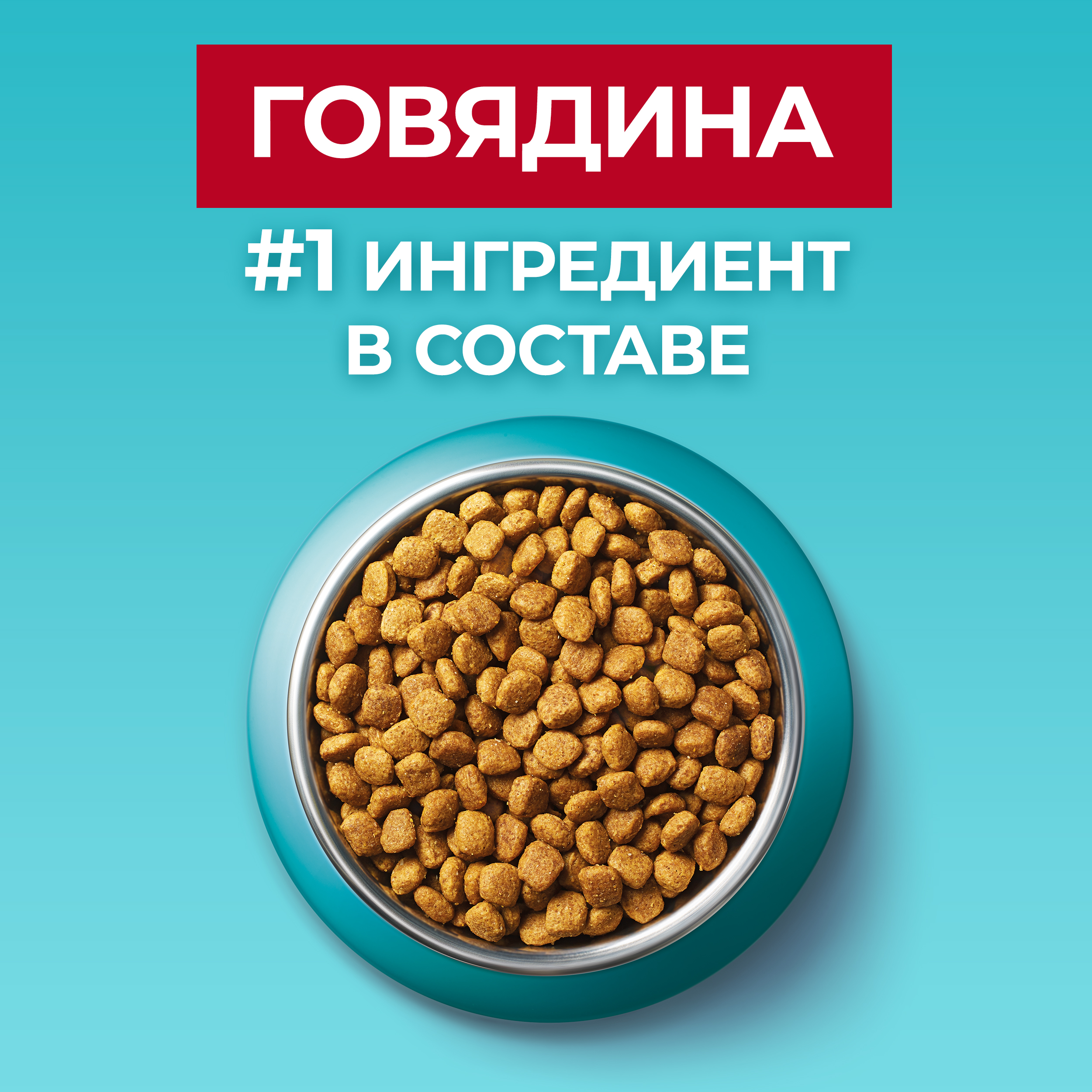 Сухой корм PURINA ONE® для взрослых кошек с говядиной 750 г