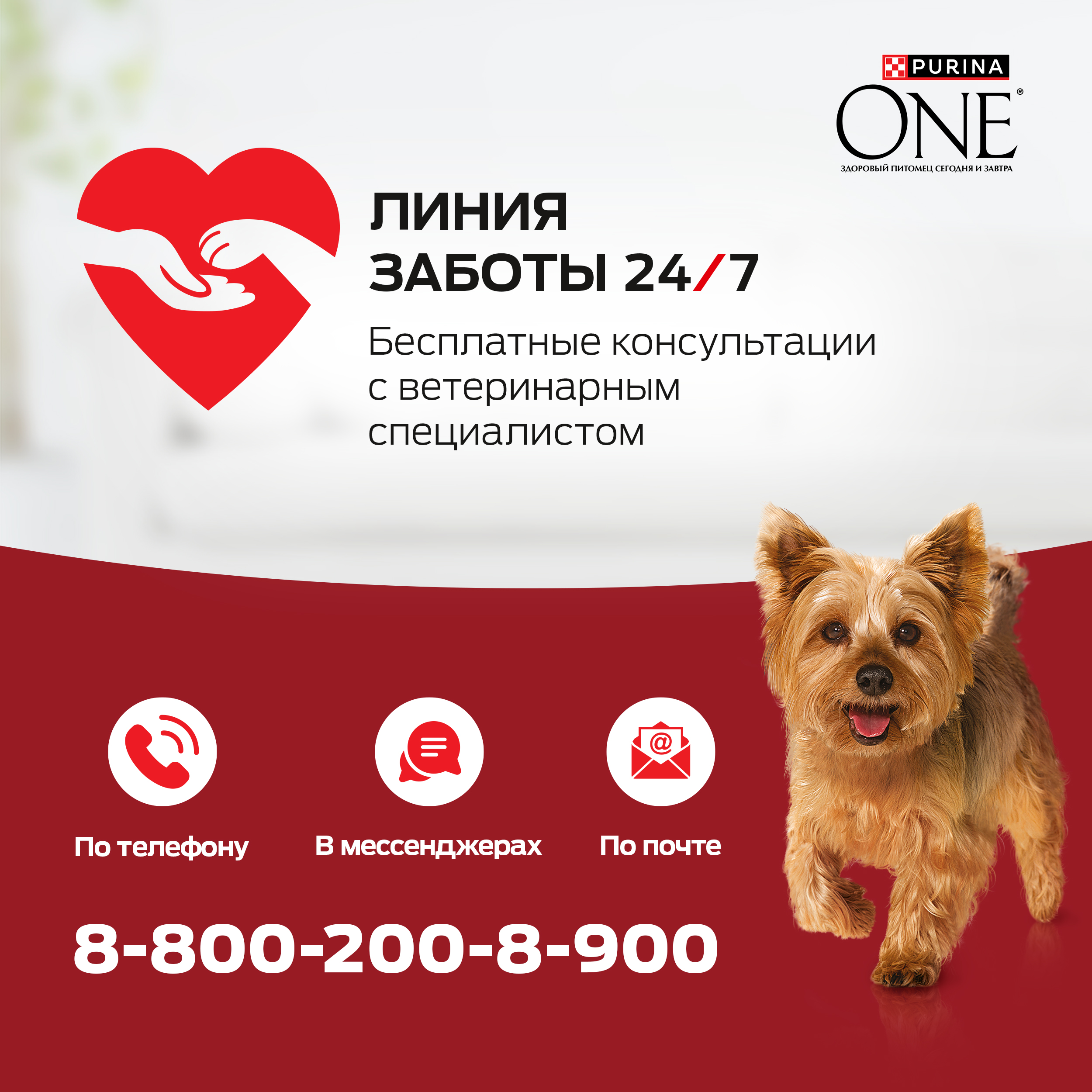 Сухой корм Purina ONE® МИНИ для взрослых собак, с говядиной и с рисом, 1,5 кг