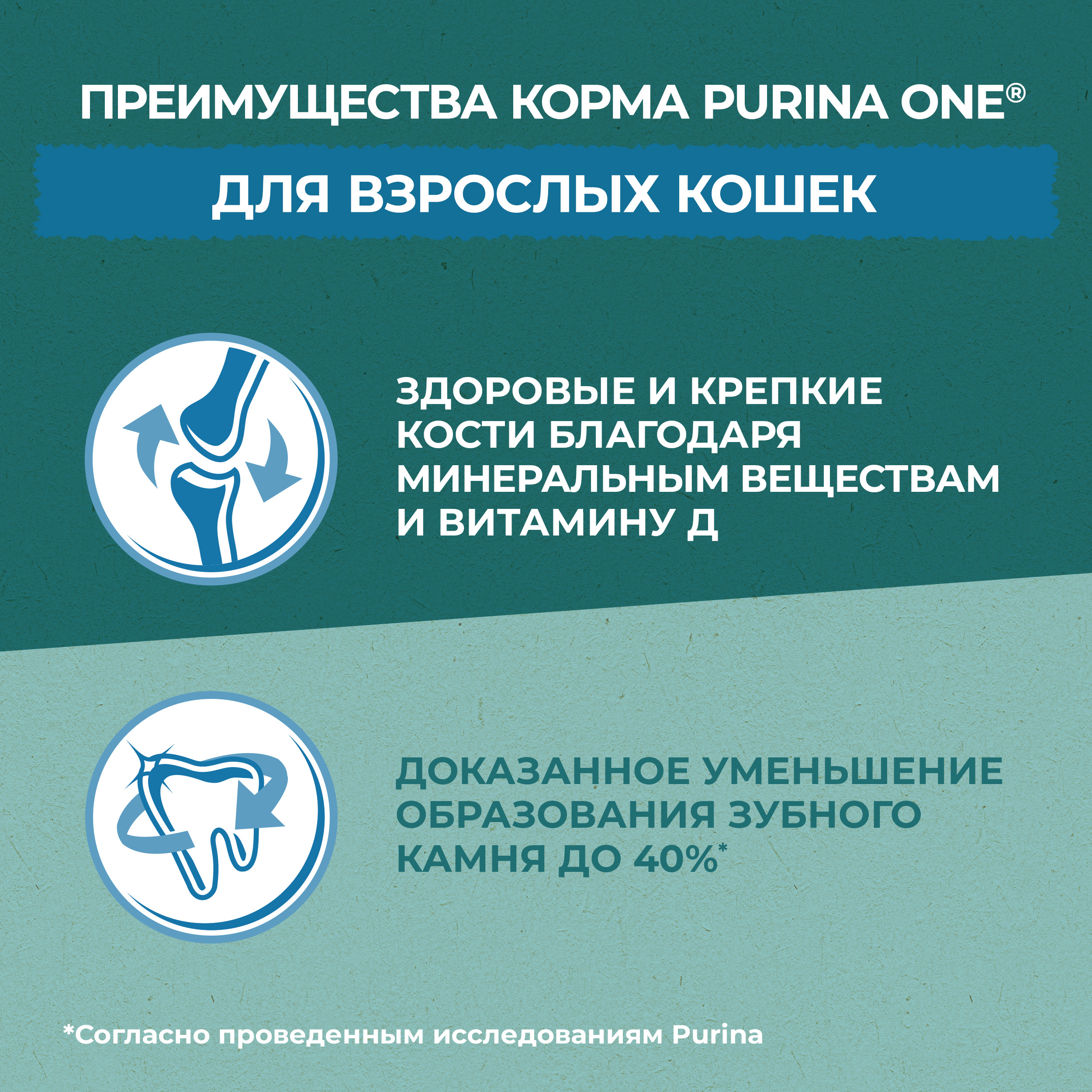 Сухой корм PURINA ONE® Природа Здоровья® для взрослых кошек с курицей, 180 г