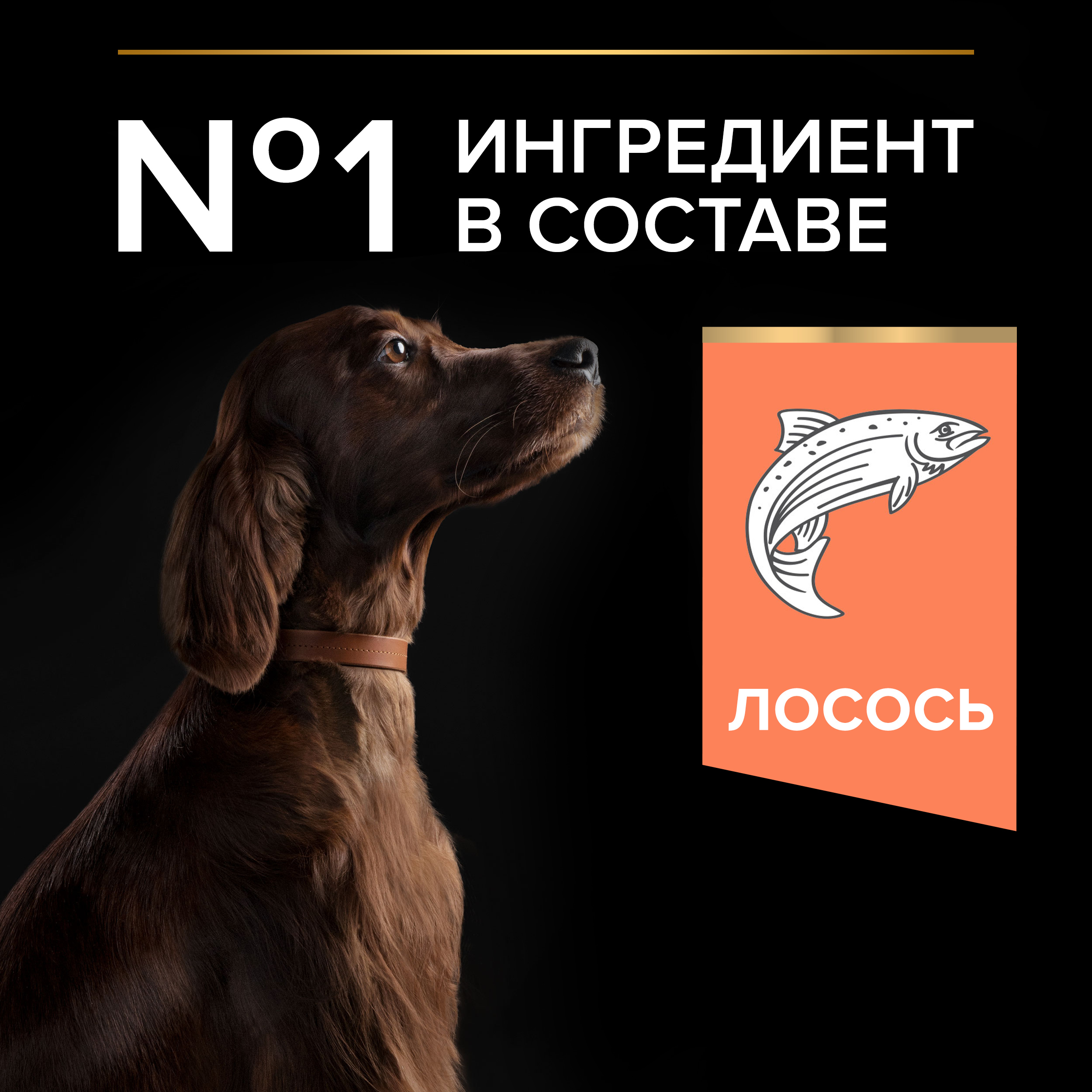 Сухой корм PRO PLAN® SENSITIVE SKIN для взрослых собак крупных пород с атлетическим телосложением с чувствительной кожей с лососем, 14 кг