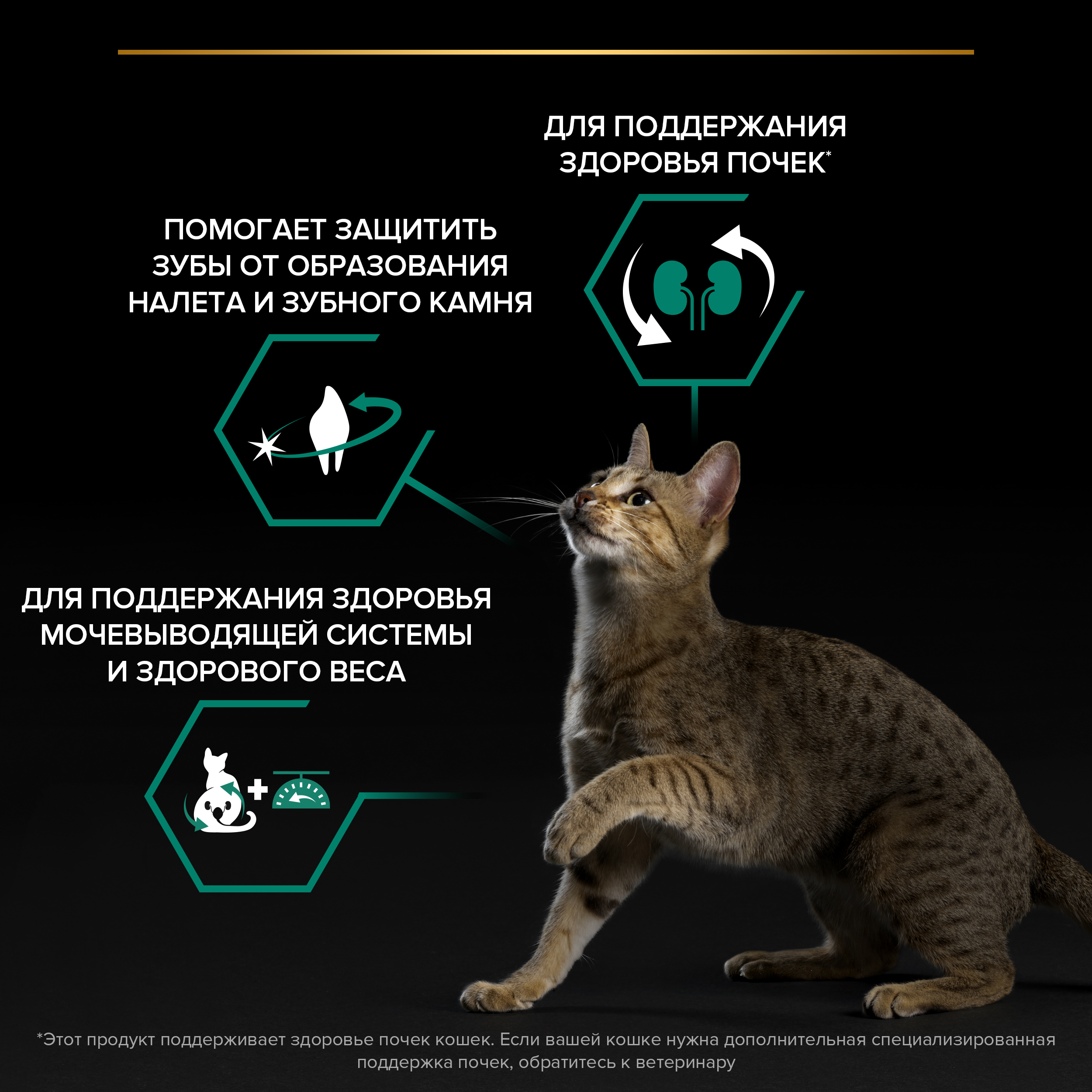 Сухой корм PRO PLAN® Sterilised RENAL PLUS для взрослых стерилизованных кошек для поддержания здоровья почек с кроликом, 10 кг