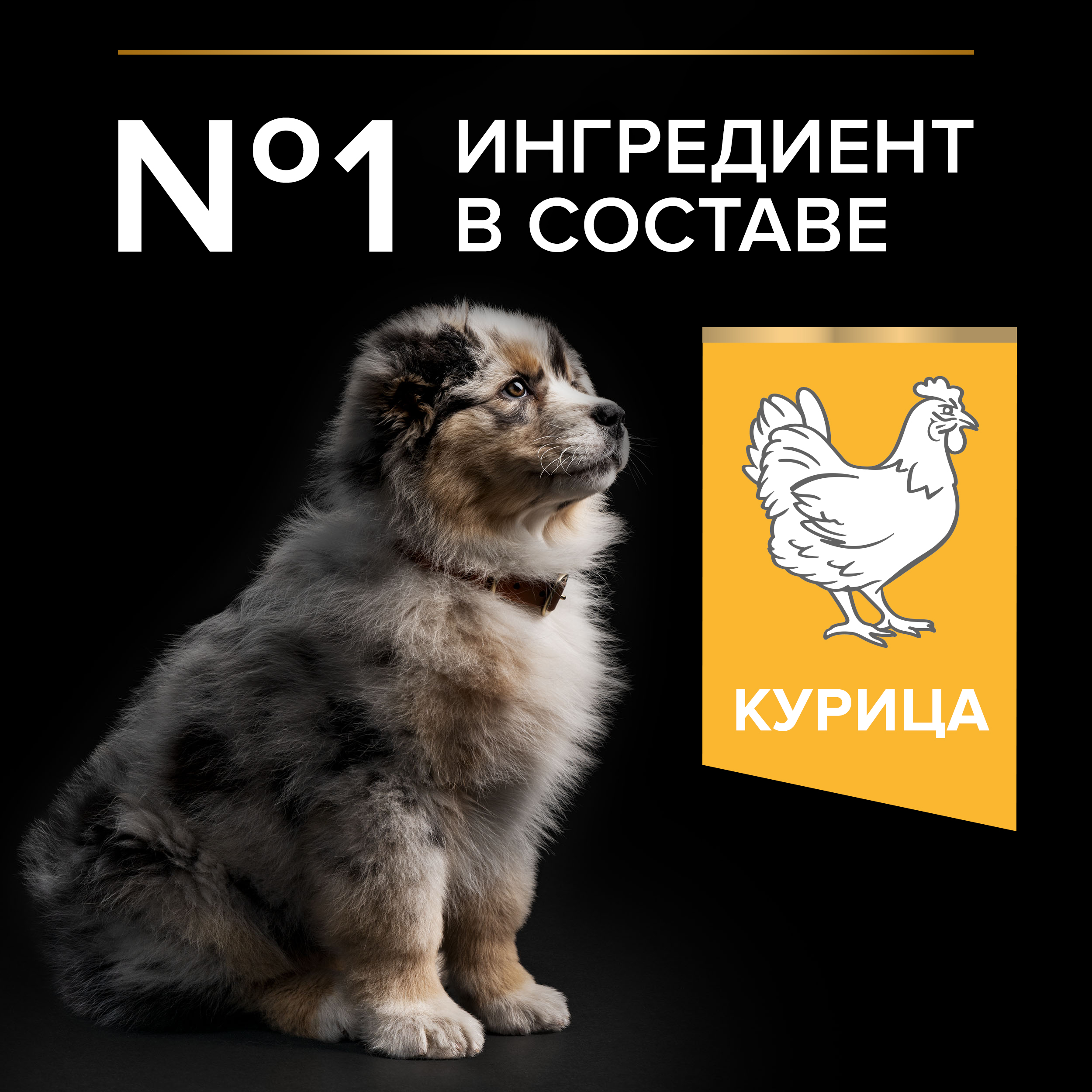 Сухой корм PRO PLAN® HEALTHY START® для щенков средних пород, c курицей, 3 кг