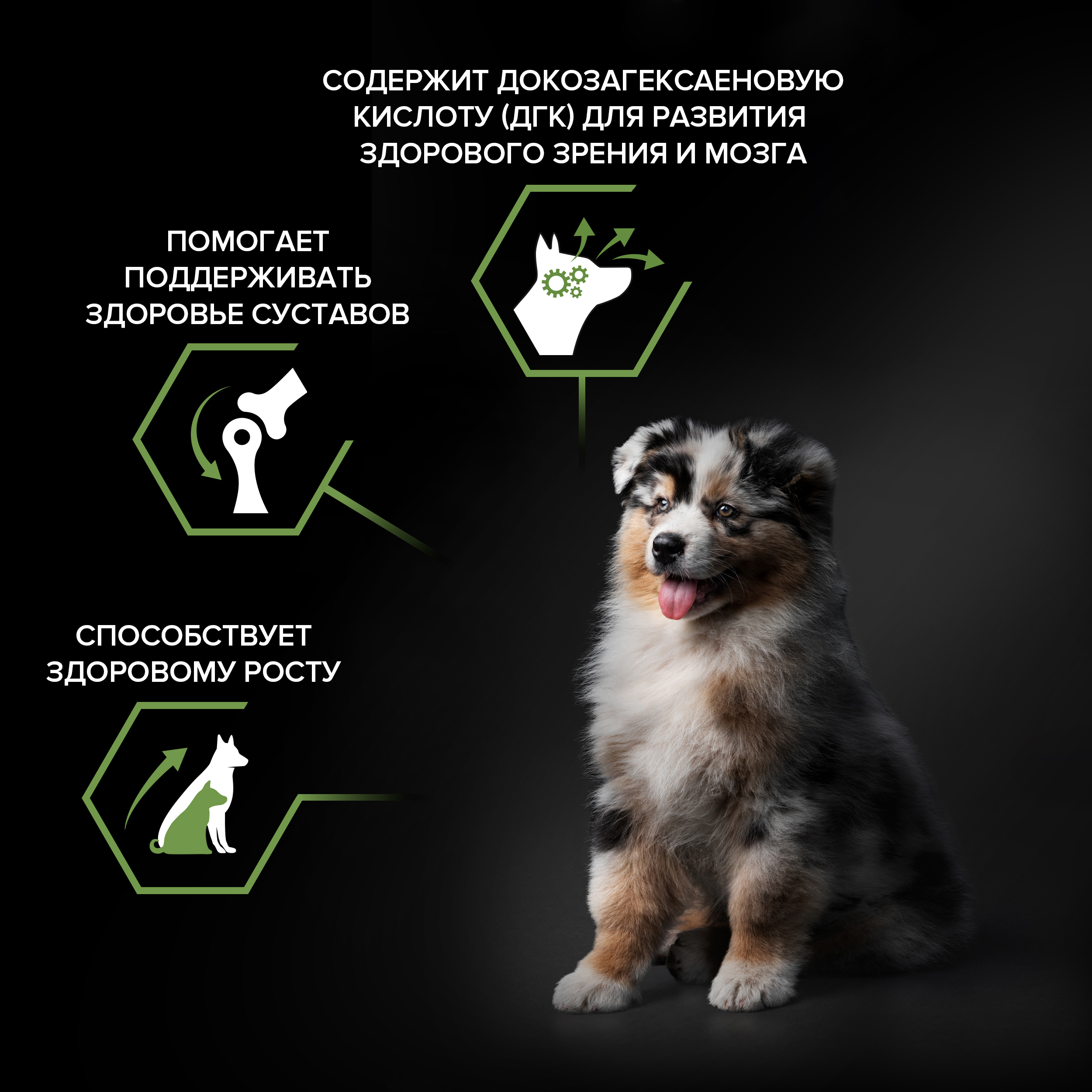 Сухой корм PRO PLAN® HEALTHY START® для щенков средних пород, c курицей, 12 кг