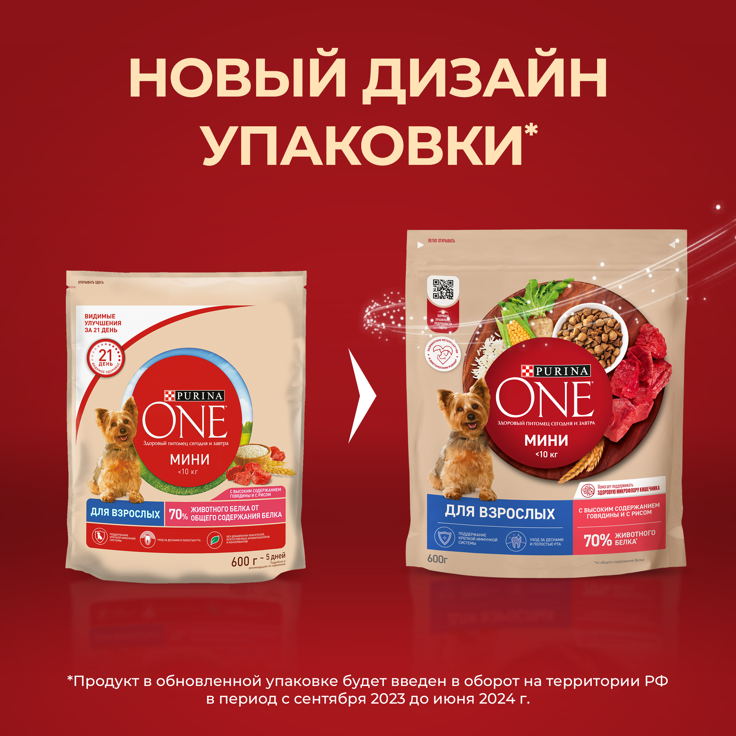 Сухой корм Purina ONE® МИНИ для взрослых собак мелких пород с говядиной и с рисом, 600 г