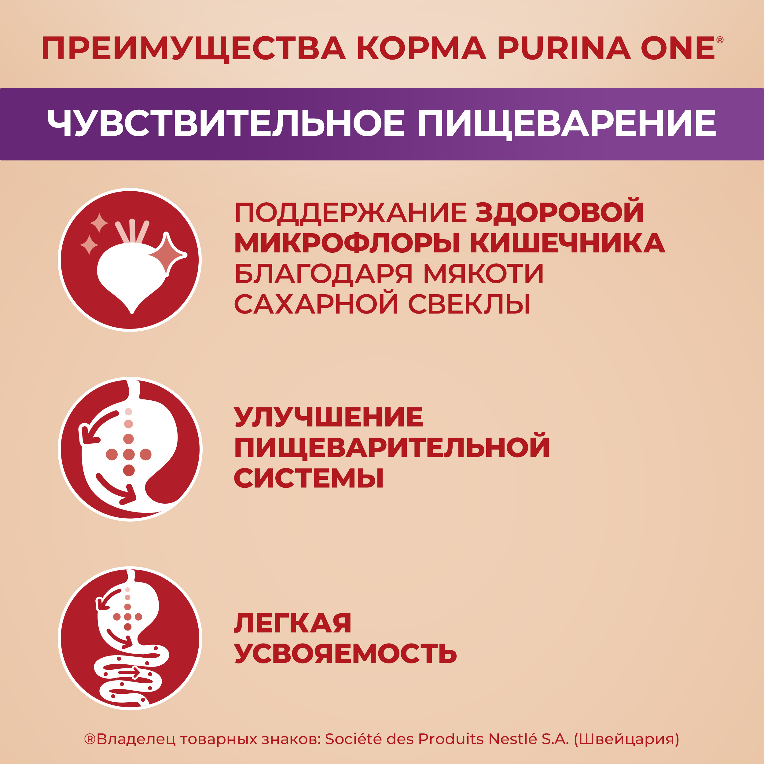 Сухой корм Purina ONE® МИНИ для собак мелких пород для чувствительного пищеварения с лососем и рисом 600 г