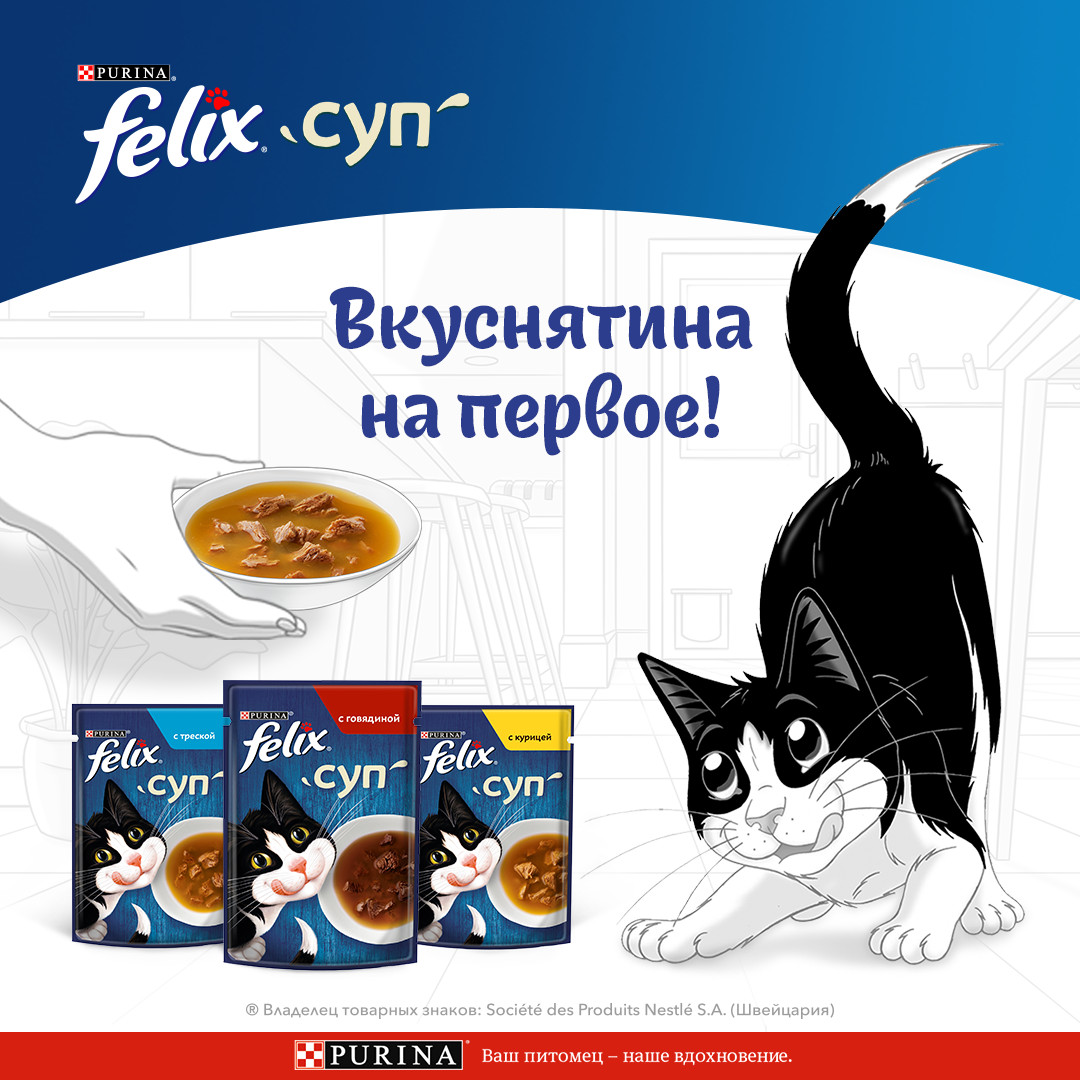 Влажный корм FELIX® Суп для кошек с говядиной 48 г х 36 шт.