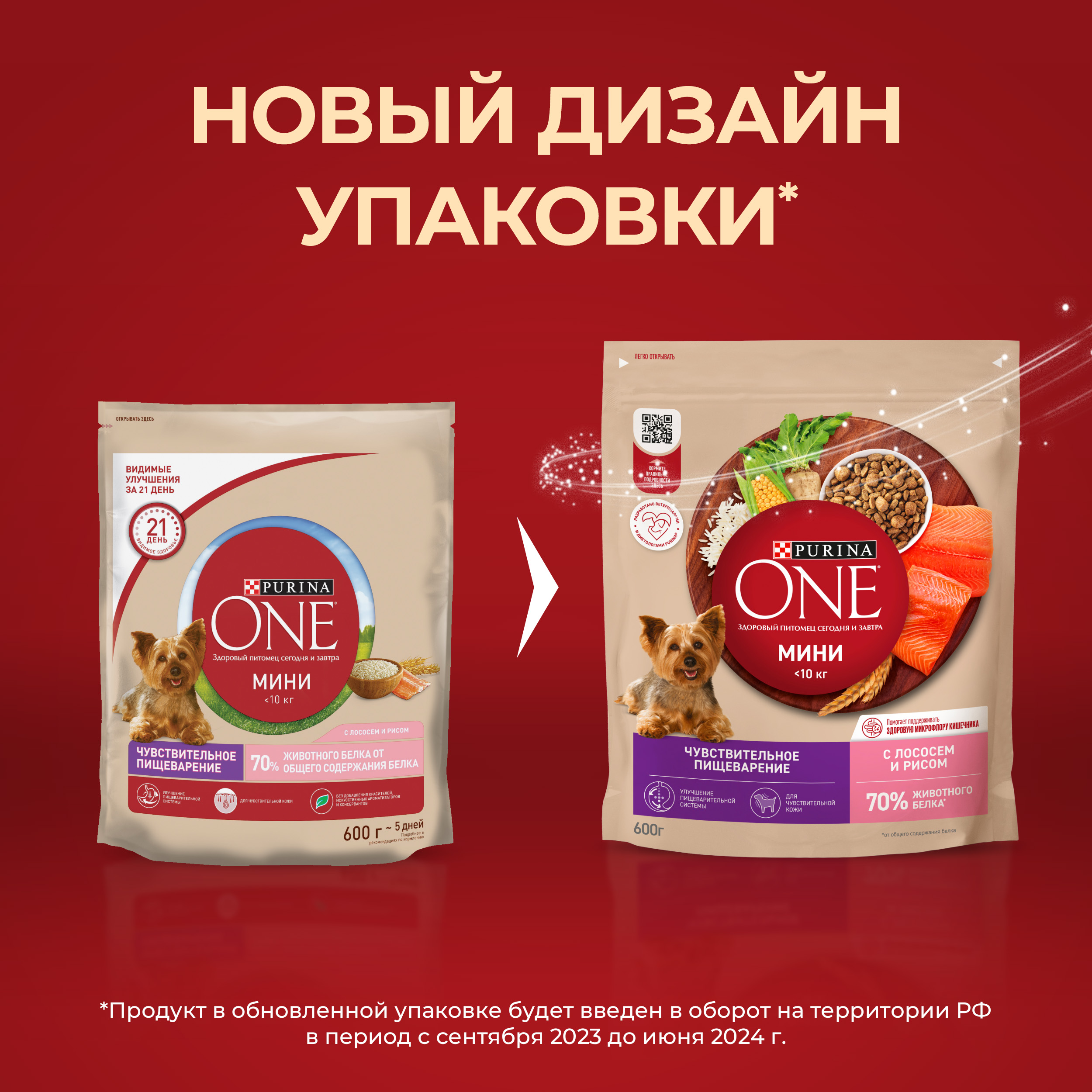 Сухой корм Purina ONE® МИНИ для собак мелких пород для чувствительного пищеварения с лососем и рисом 600 г