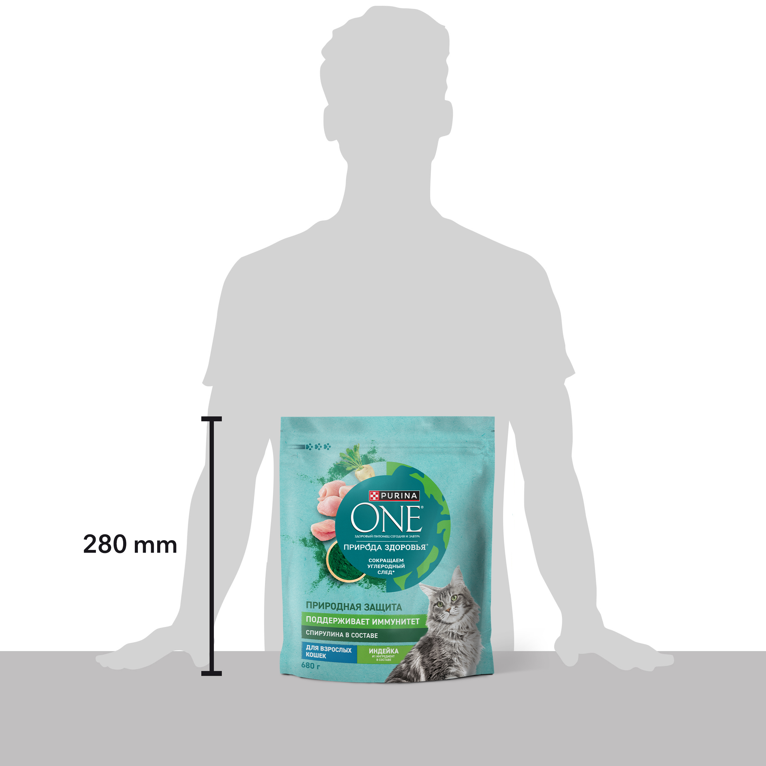 Сухой корм PURINA ONE® Природа Здоровья® для взрослых кошек с индейкой 680 г