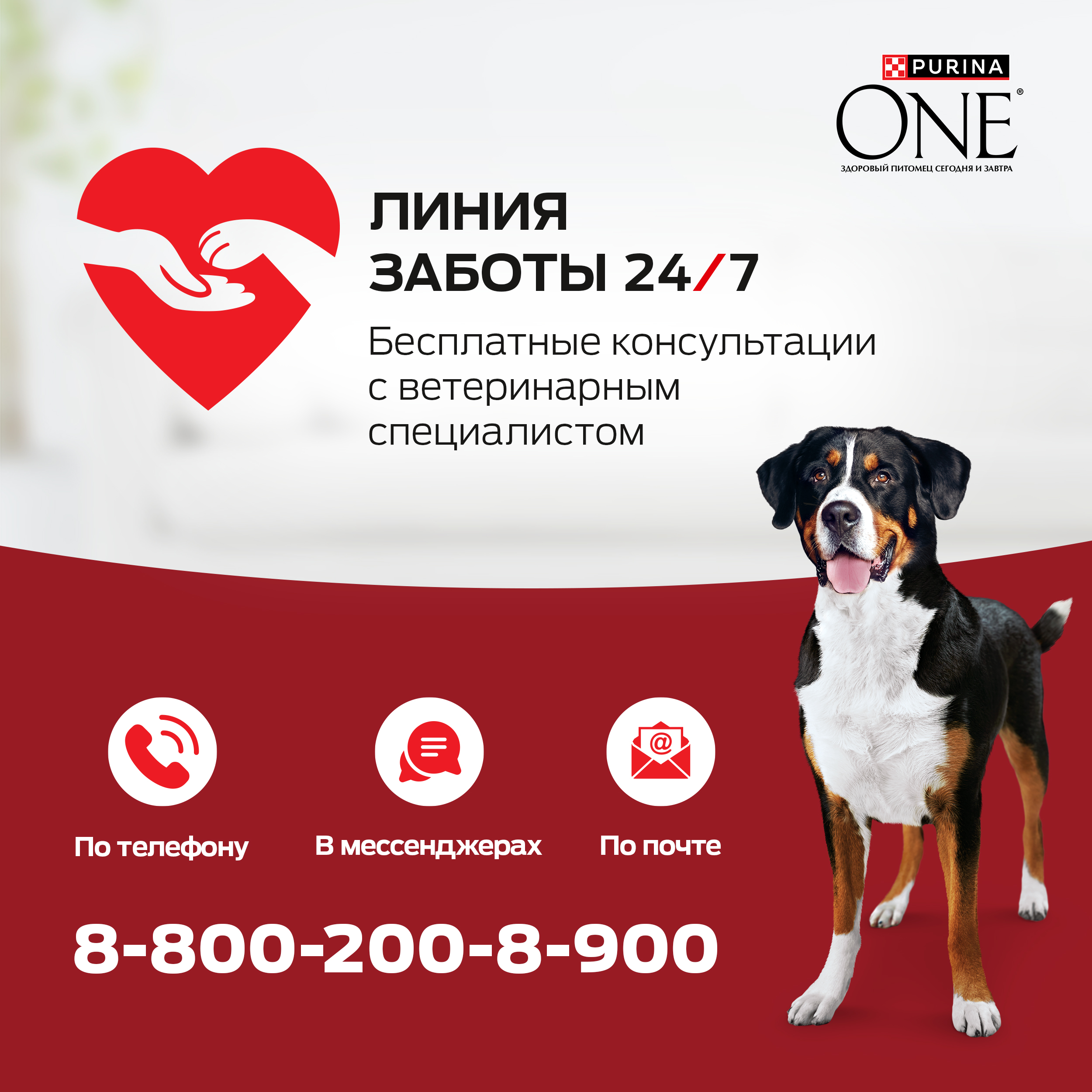 Сухой корм PURINA ONE® для взрослых собак средних и крупных пород с ягненком и рисом, 3,8 кг