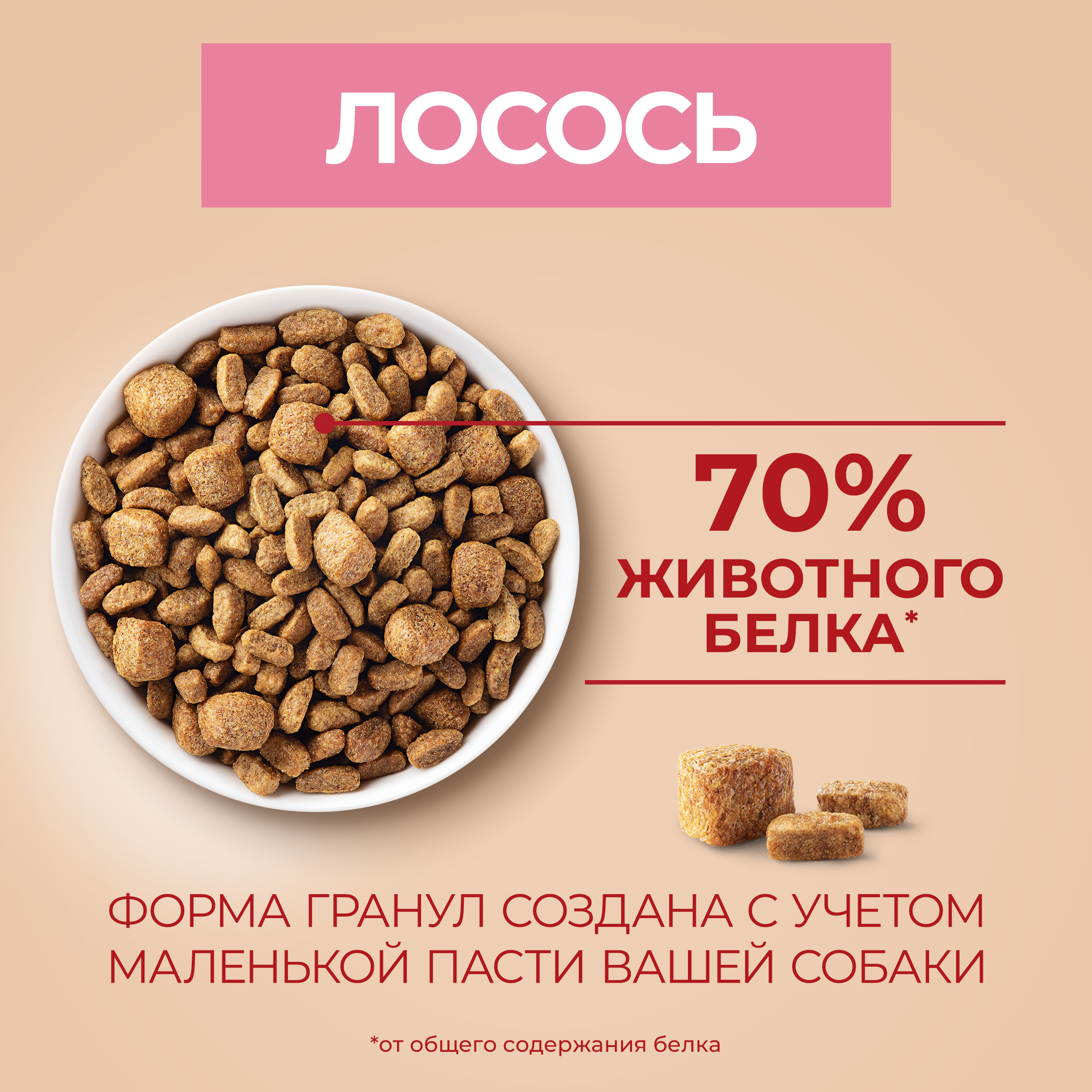 Сухой корм Purina ONE® МИНИ для собак мелких пород для чувствительного пищеварения с лососем и рисом 600 г