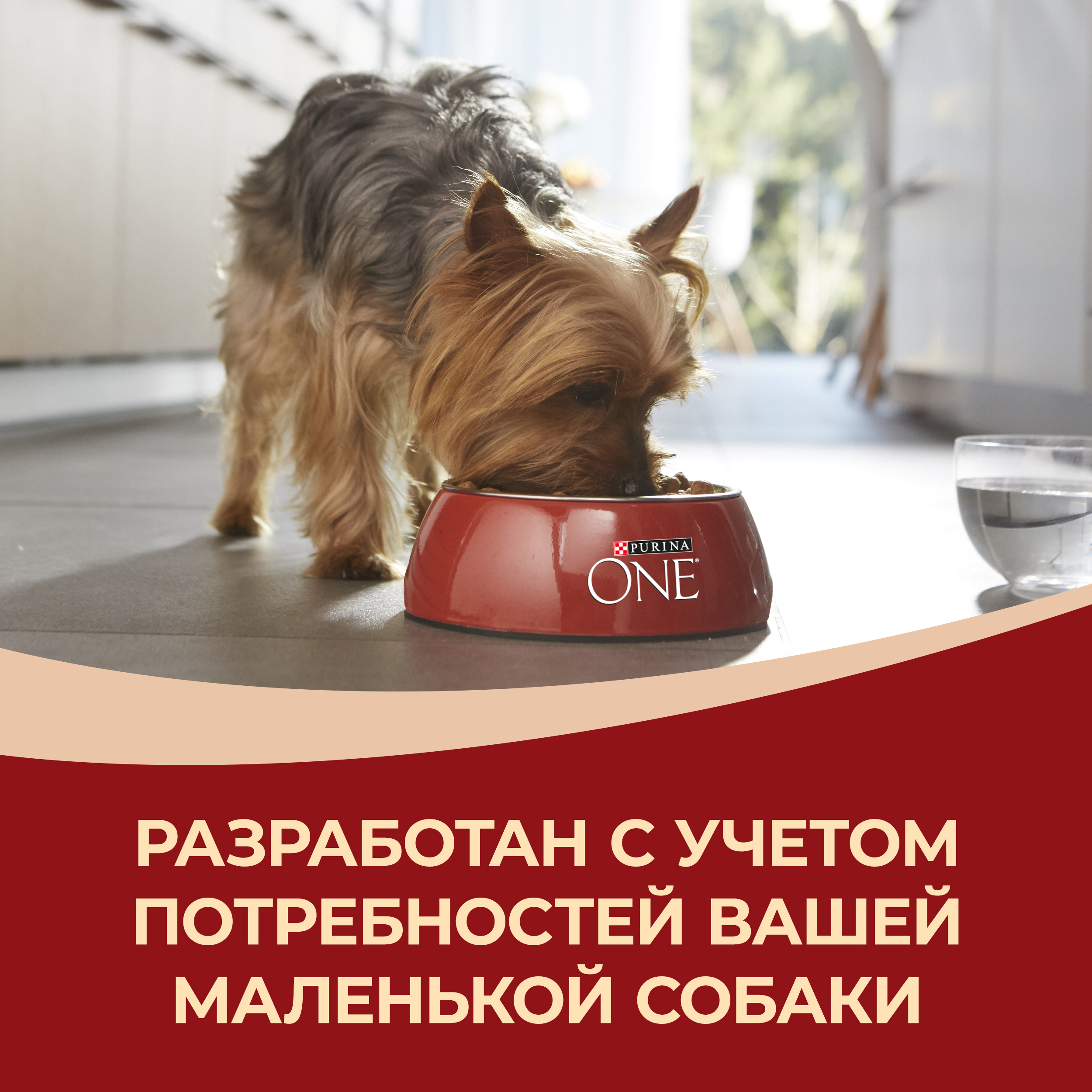 Сухой корм Purina ONE® МИНИ для активных собак мелких пород с курицей и рисом 600 г