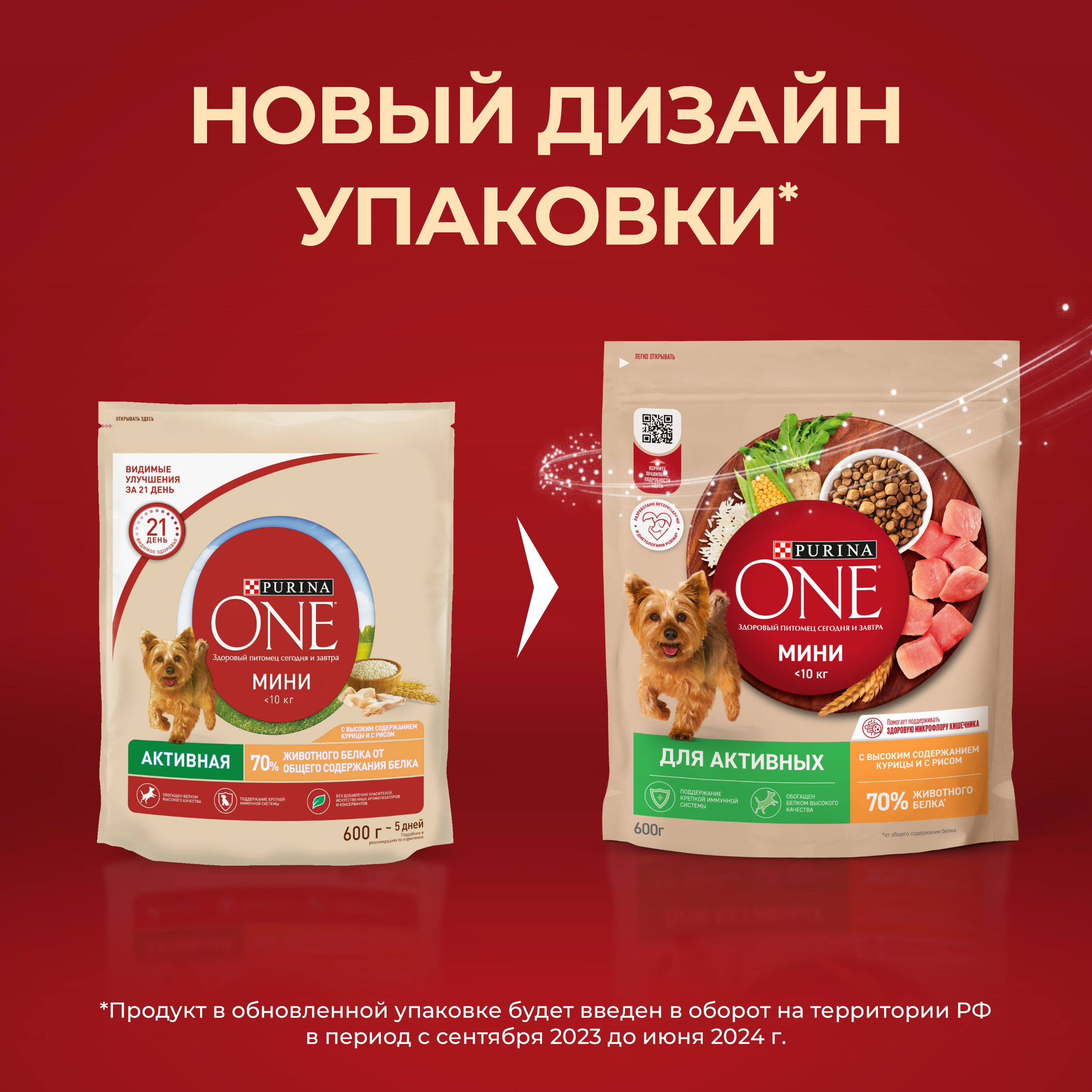 Сухой корм Purina ONE® МИНИ для активных собак мелких пород с курицей и рисом 600 г