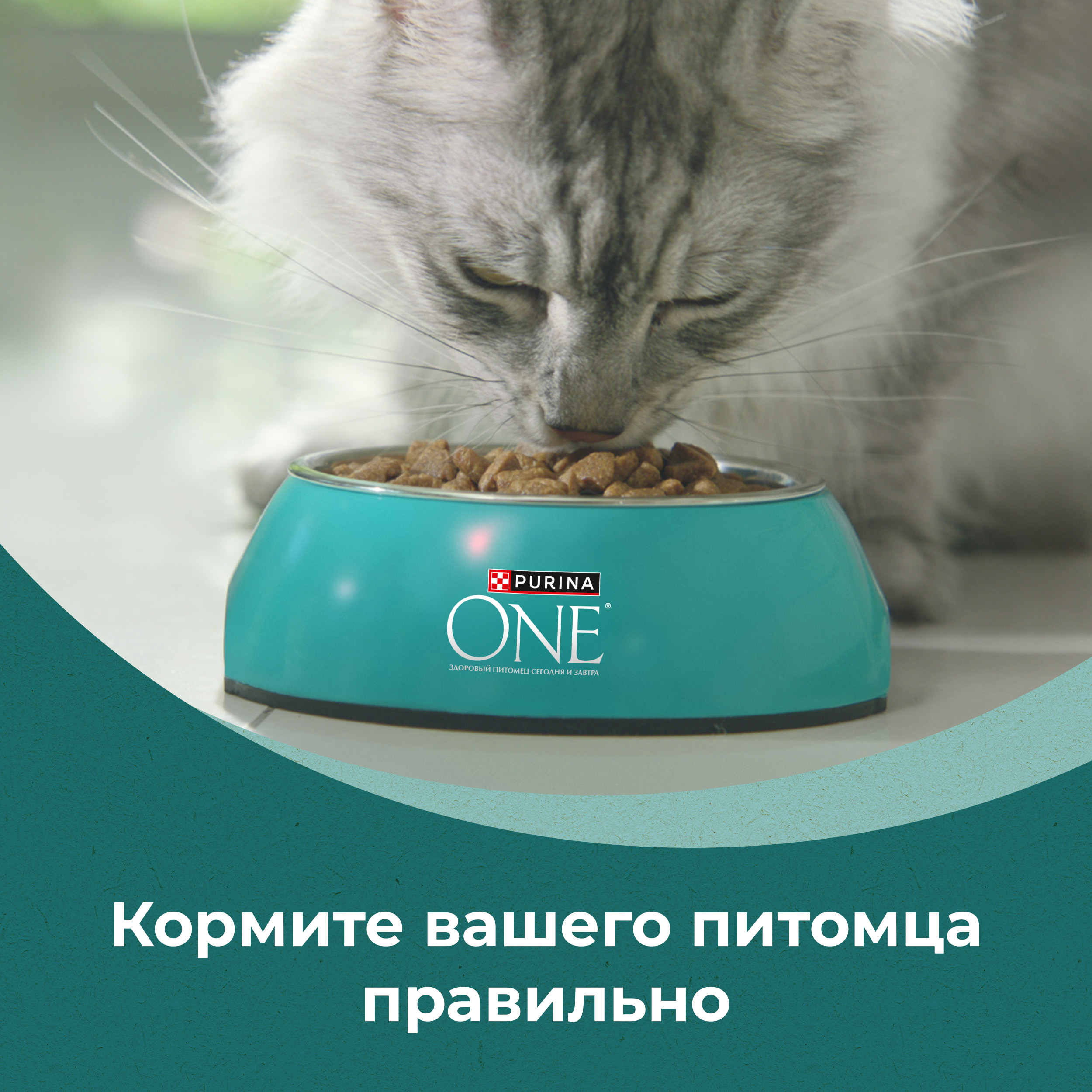 Сухой корм PURINA ONE® Природа Здоровья® для взрослых кошек с индейкой 680 г