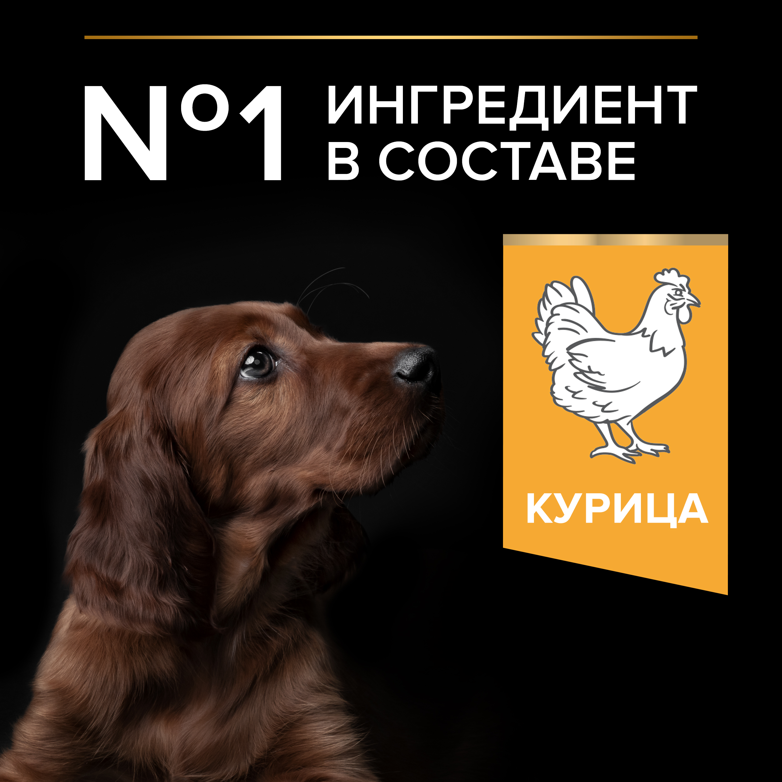 Сухой корм PRO PLAN® HEALTHY START® для щенков крупных пород с атлетическим телосложением, c курицей, 12 кг