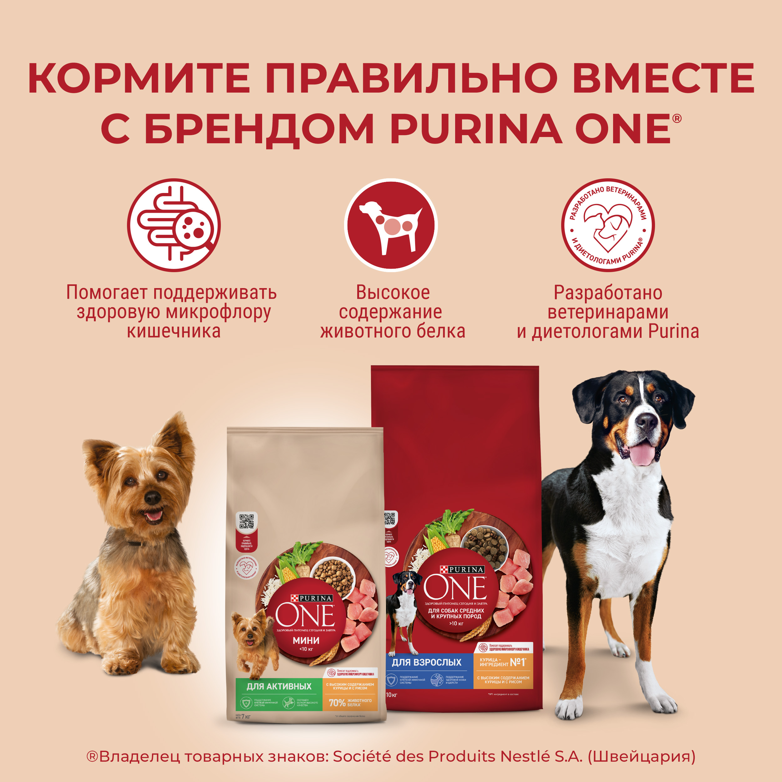 Сухой корм Purina ONE® МИНИ для собак мелких пород, склонных к набору веса или стерилизованных с индейкой и рисом 1.5 кг