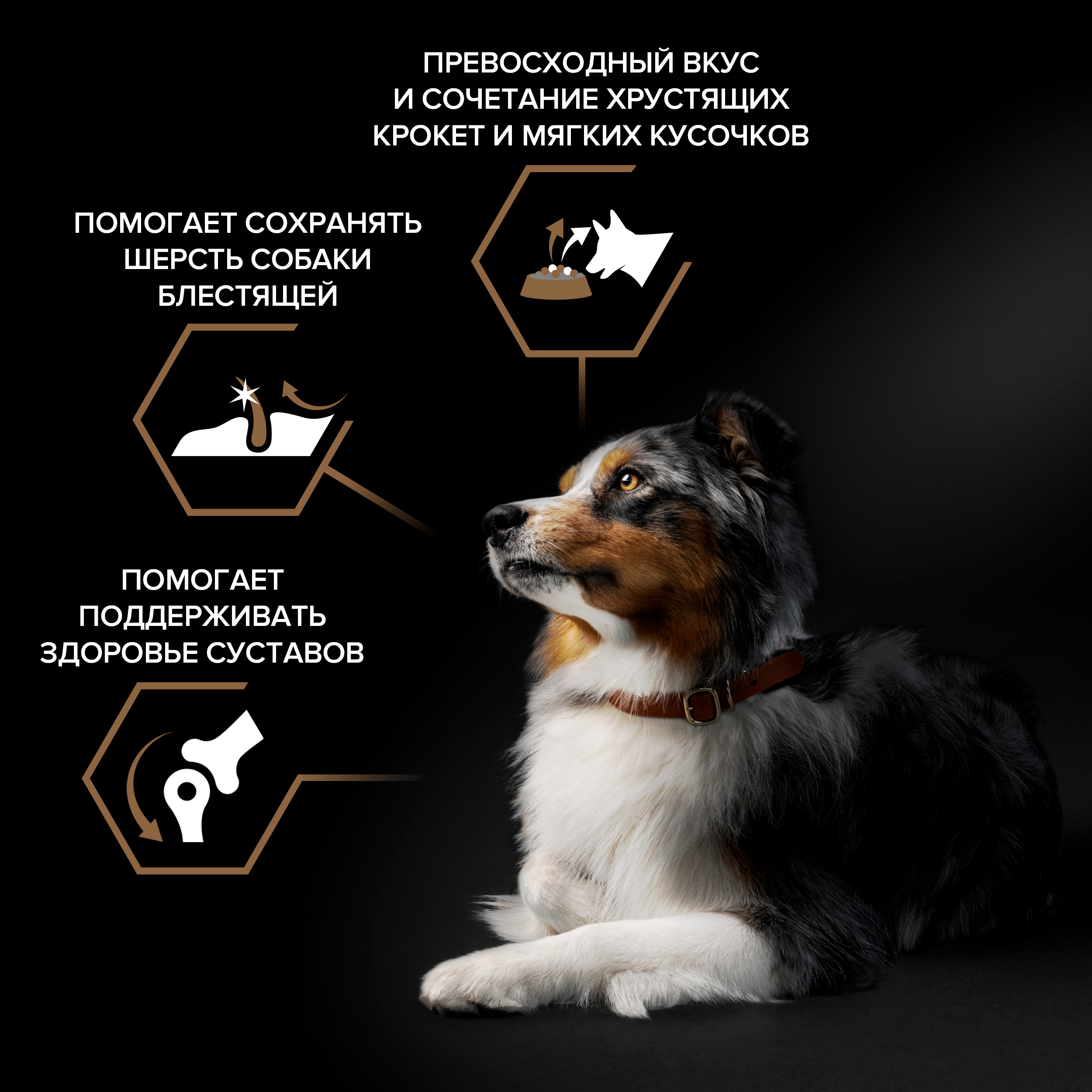 Сухой корм PRO PLAN® DUO DELICE для взрослых собак средних и крупных пород с превосходным вкусом и двойной текстурой гранул с говядиной, 2.5 кг