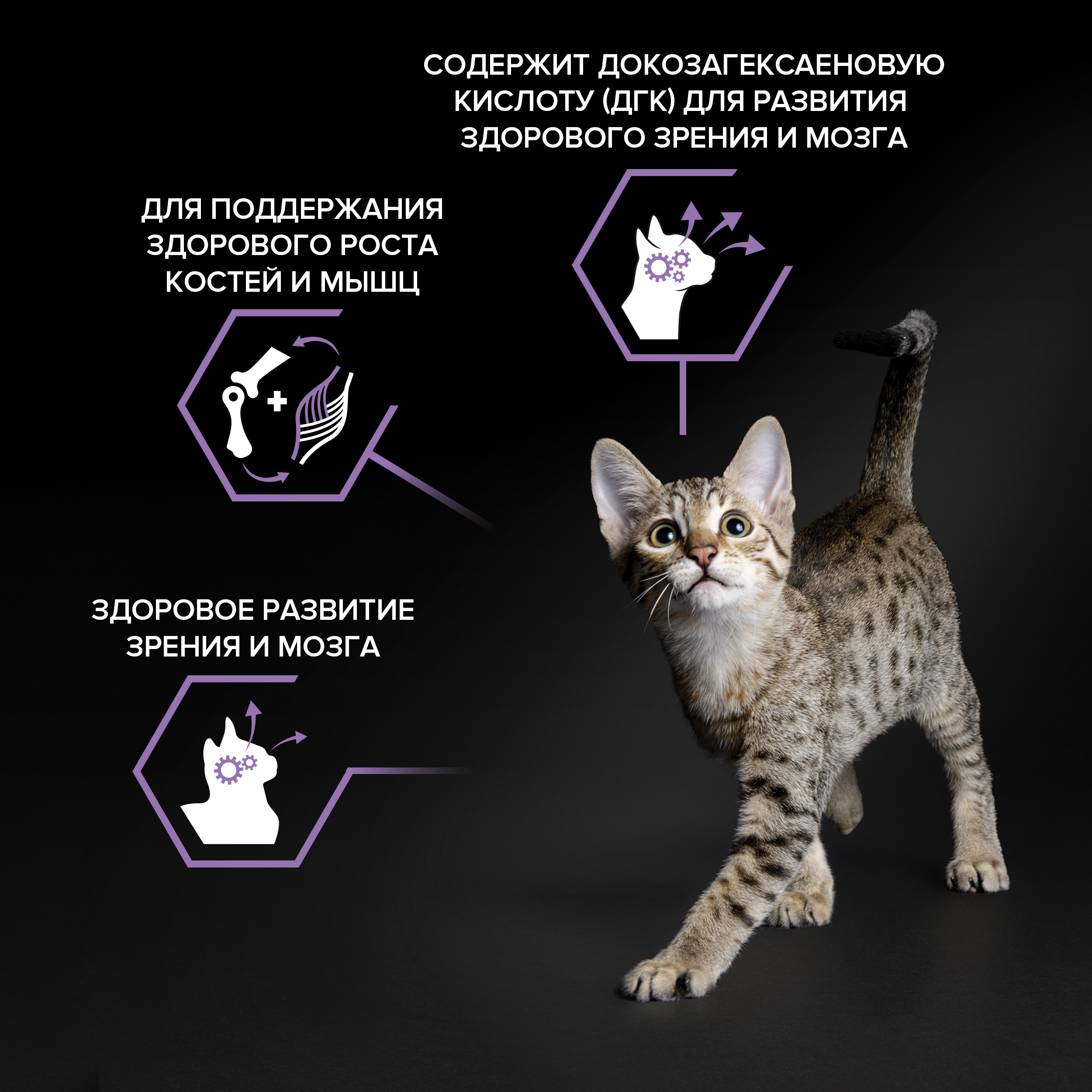 Сухой корм PRO PLAN® HEALTHY START для котят с курицей 3 кг