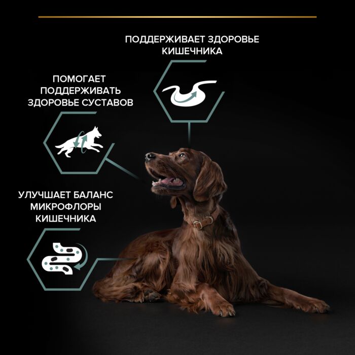 Сухой корм PRO PLAN® для взрослых собак крупных пород с атлетическим телосложением с чувствительным пищеварением, с высоким содержанием ягненка 14 кг