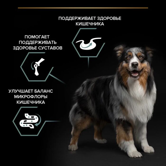 Сухой корм PRO PLAN® для взрослых собак средних пород с чувствительным пищеварением, с высоким содержанием ягненка 14 кг