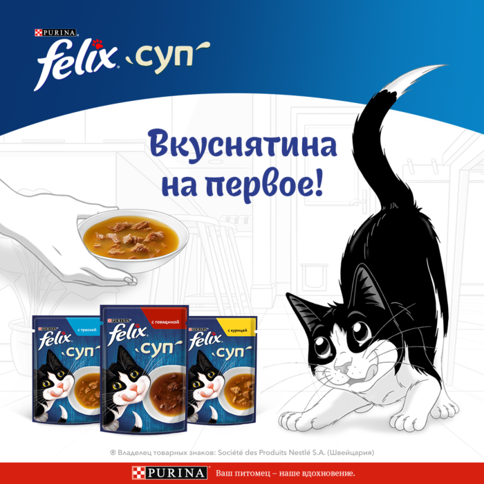 Влажный корм FELIX® Суп для кошек с говядиной 48 г х 36 шт.