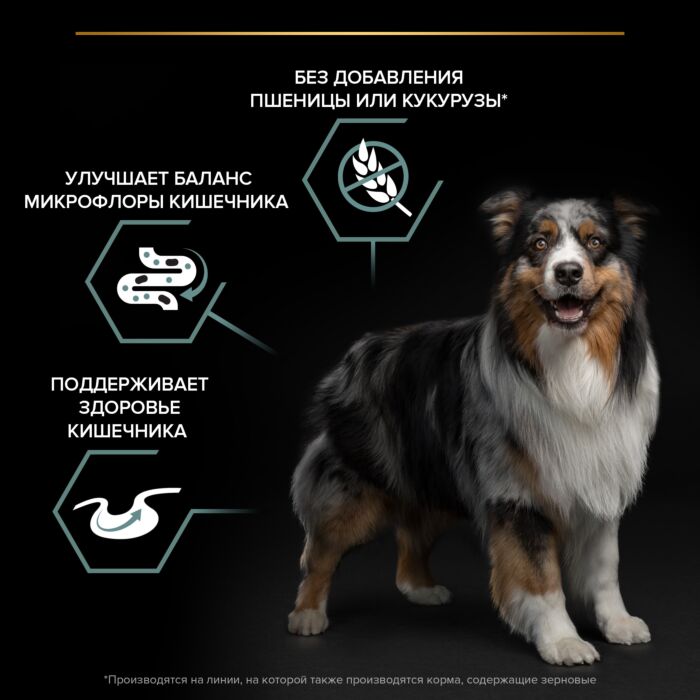 Сухой корм PRO PLAN® для взрослых собак средних и крупных пород с чувствительным пищеварением GRAIN FREE (беззерновой), с высоким содержанием индейки 12 кг