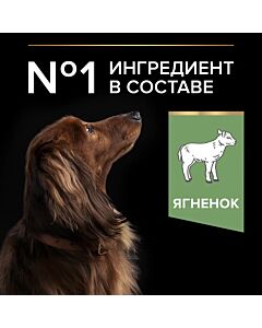Сухой корм PRO PLAN® для взрослых собак мелких и карликовых пород с чувствительным пищеварением, с высоким содержанием ягненка 2,5 кг + 500 г в подарок