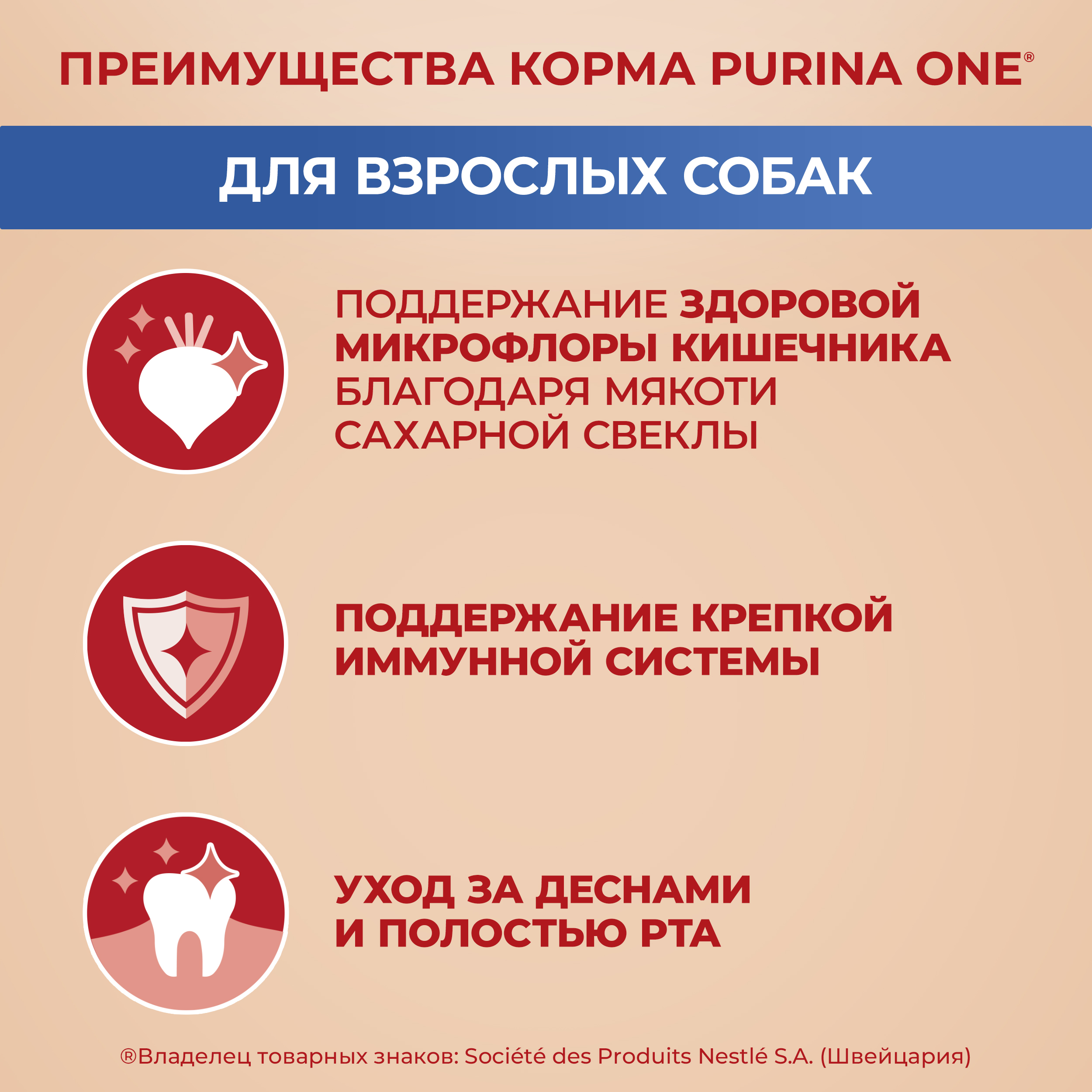 Сухой корм Purina ONE® МИНИ для взрослых собак мелких пород с говядиной и с рисом, 3 кг