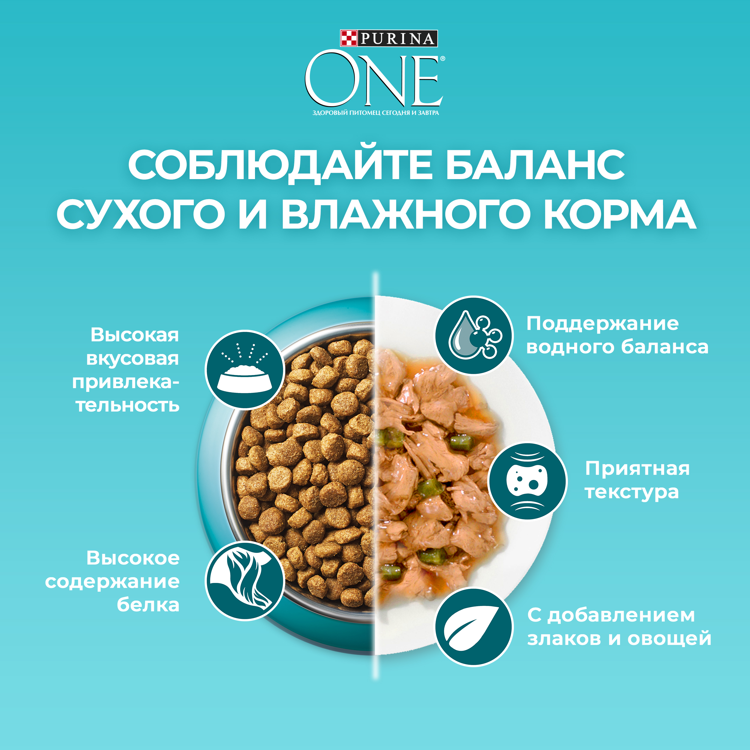 Сухой корм PURINA ONE® для пожилых кошек старше 11 лет с курицей 750 г