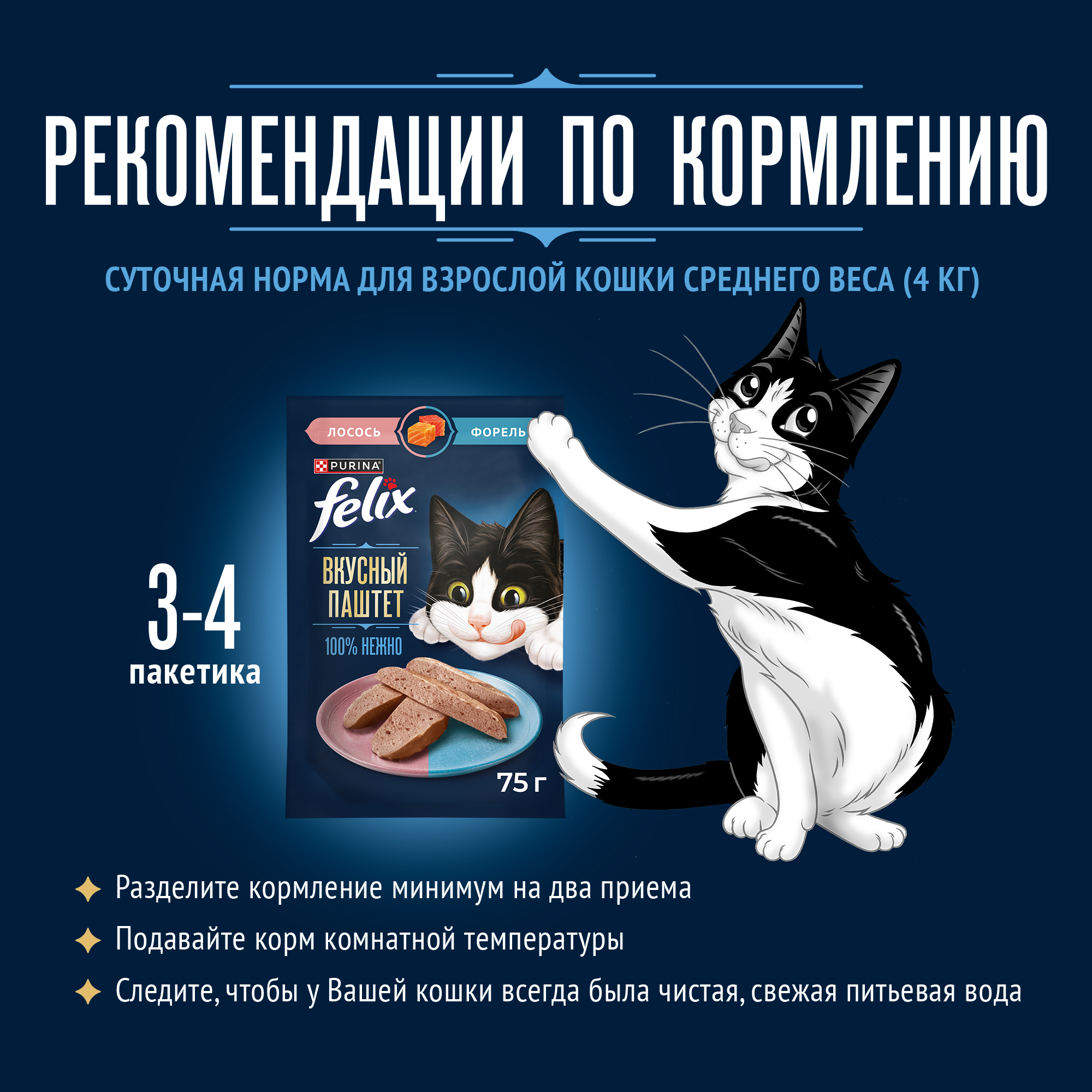 Влажный корм FELIX® Вкусный паштет для кошек, со вкусом лосося и форели, 75 г x 26 шт