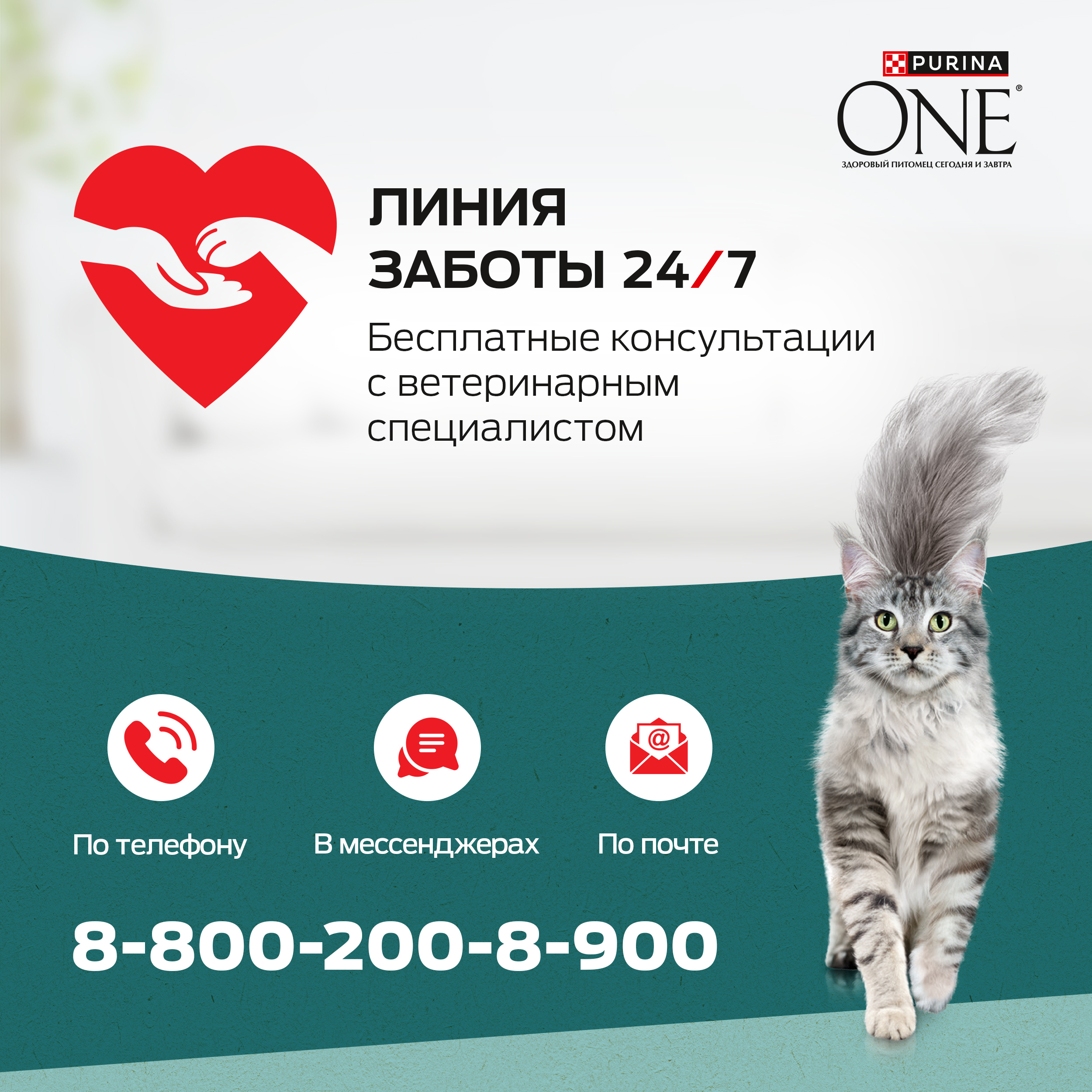Сухой корм PURINA ONE® Природа Здоровья® для взрослых кошек с курицей, 180 г