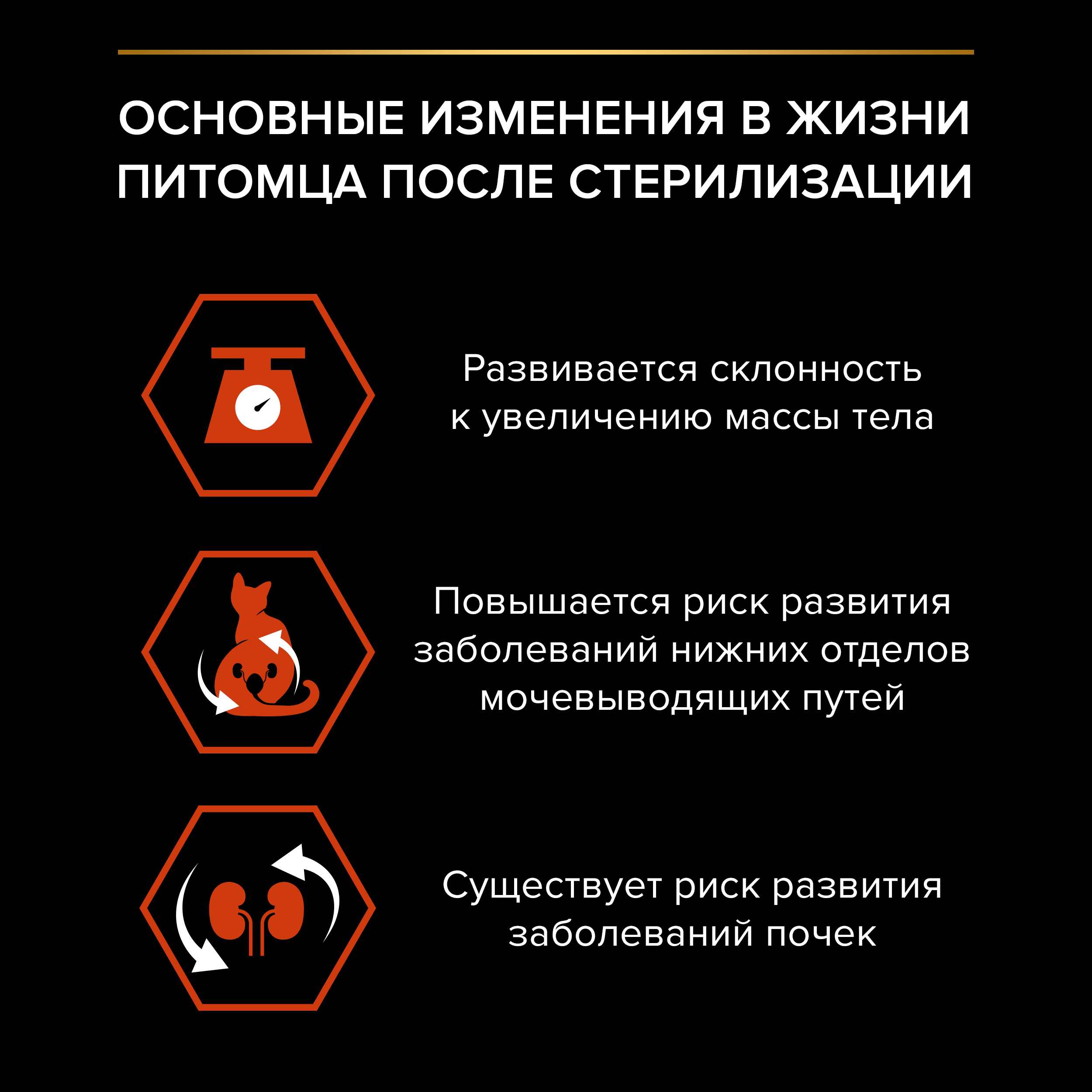 Сухой корм PRO PLAN® Sterilised VITAL FUNCTIONS для стерилизованных кошек для поддержания функций почек, мозга и иммунитета с лососем, 1.5 кг