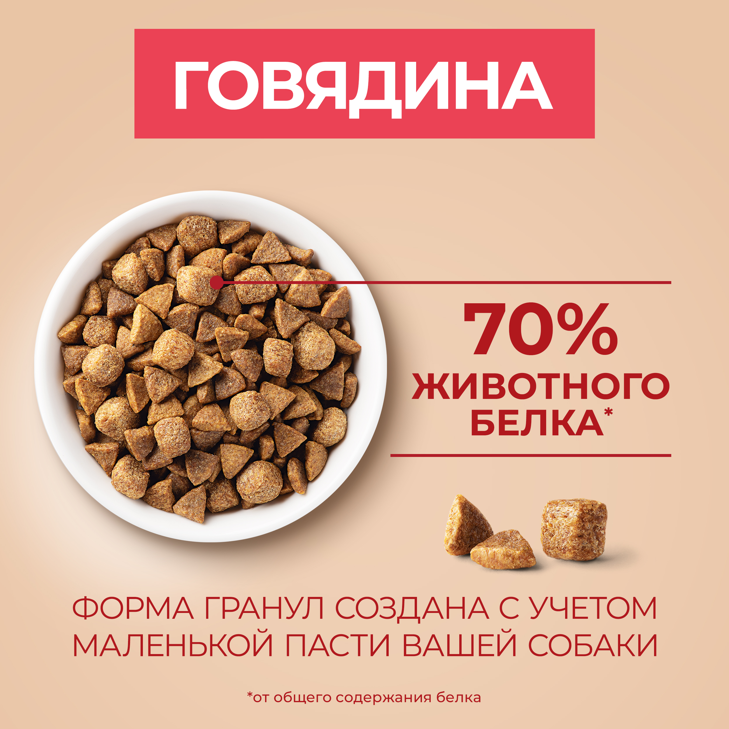 Сухой корм Purina ONE® МИНИ для взрослых собак мелких пород с говядиной и с рисом, 3 кг
