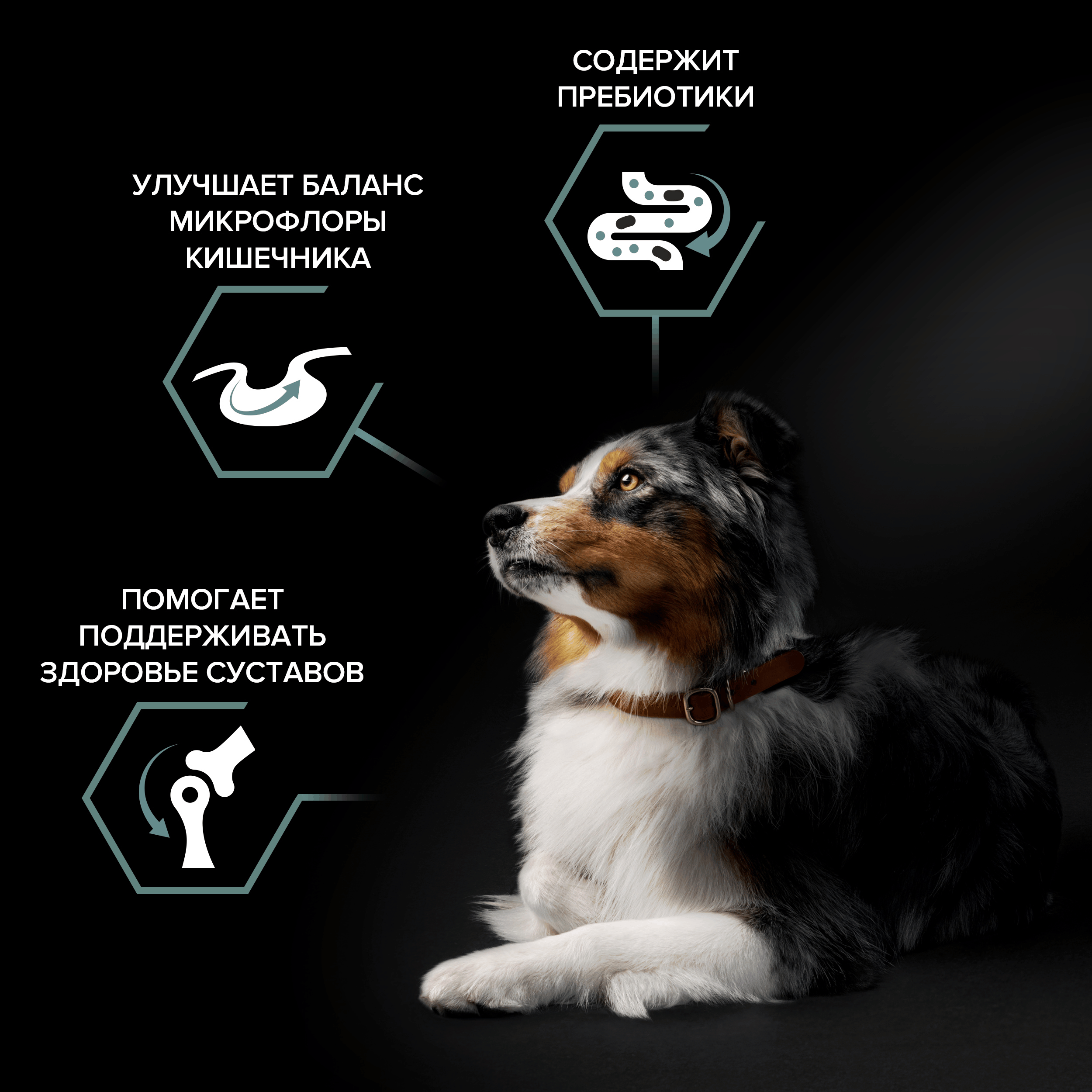 Сухой корм PRO PLAN® SENSITIVE DIGESTION для взрослых собак средних пород с чувствительным пищеварением с ягненком, 2,5 кг + 500 г в подарок