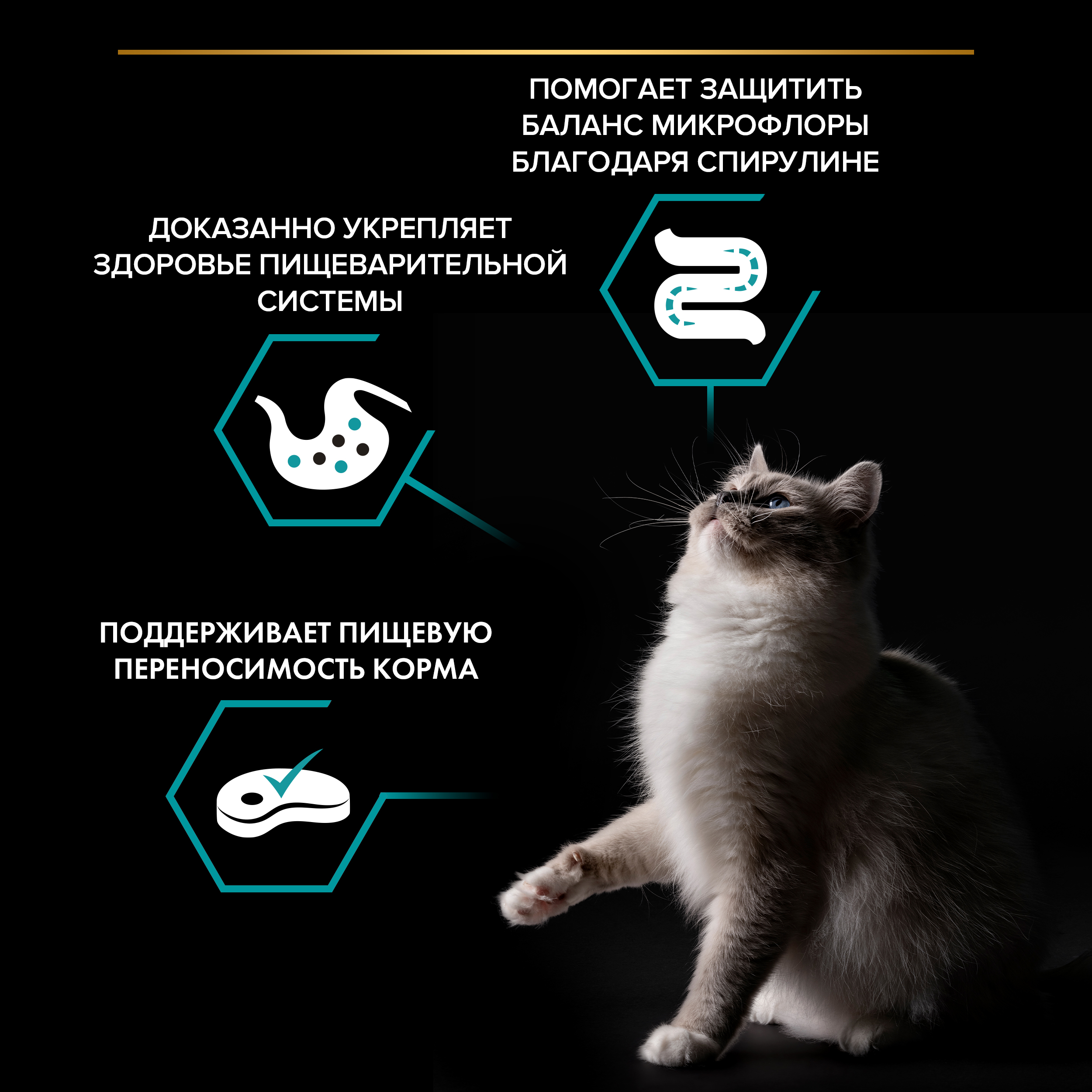 Сухой корм PRO PLAN® Nature Elements DELICATE DIGESTION для кошек при чувствительном пищеварении с индейкой 7 кг