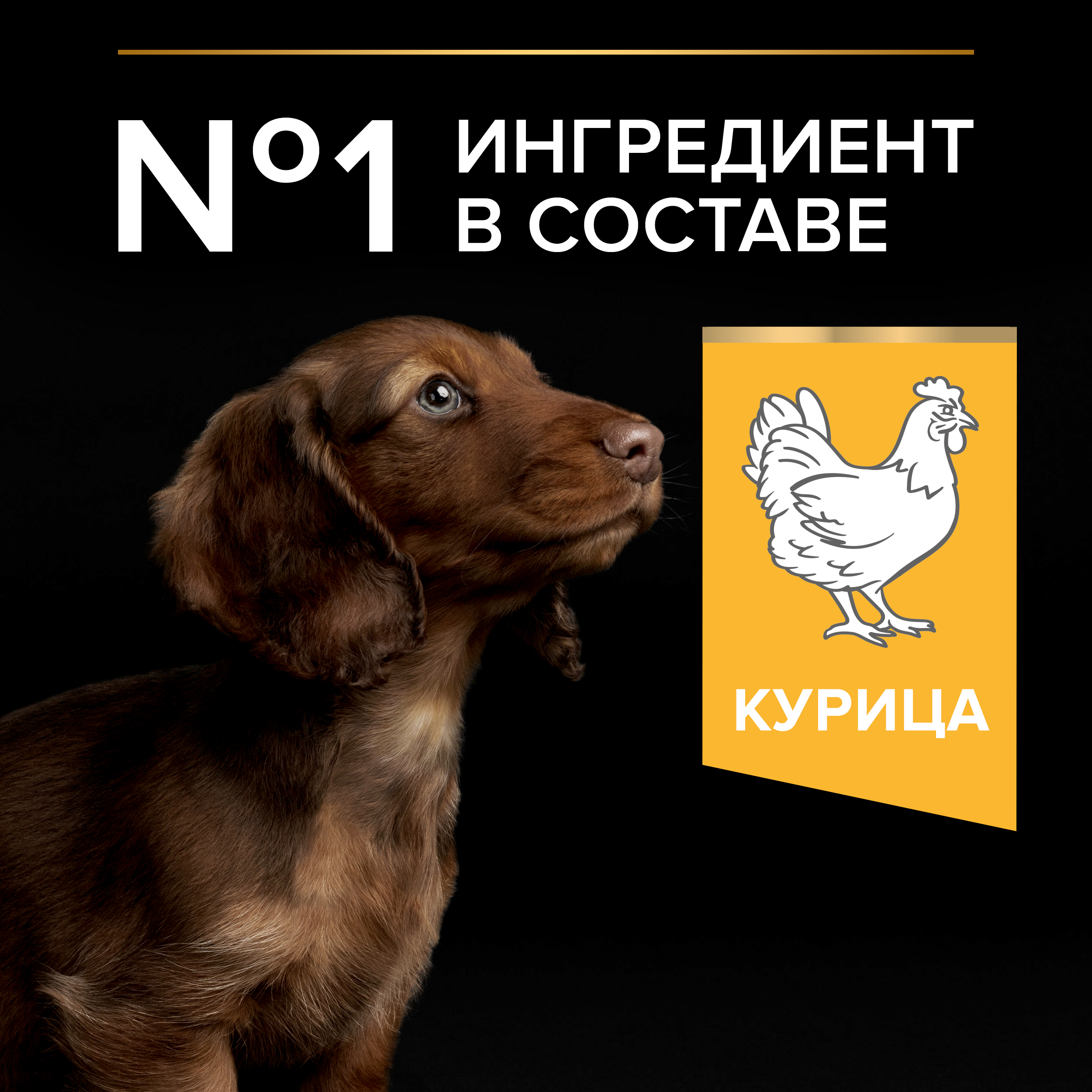 Сухой корм PRO PLAN® HEALTHY START® для щенков мелких и карликовых пород, с курицей, 700 г