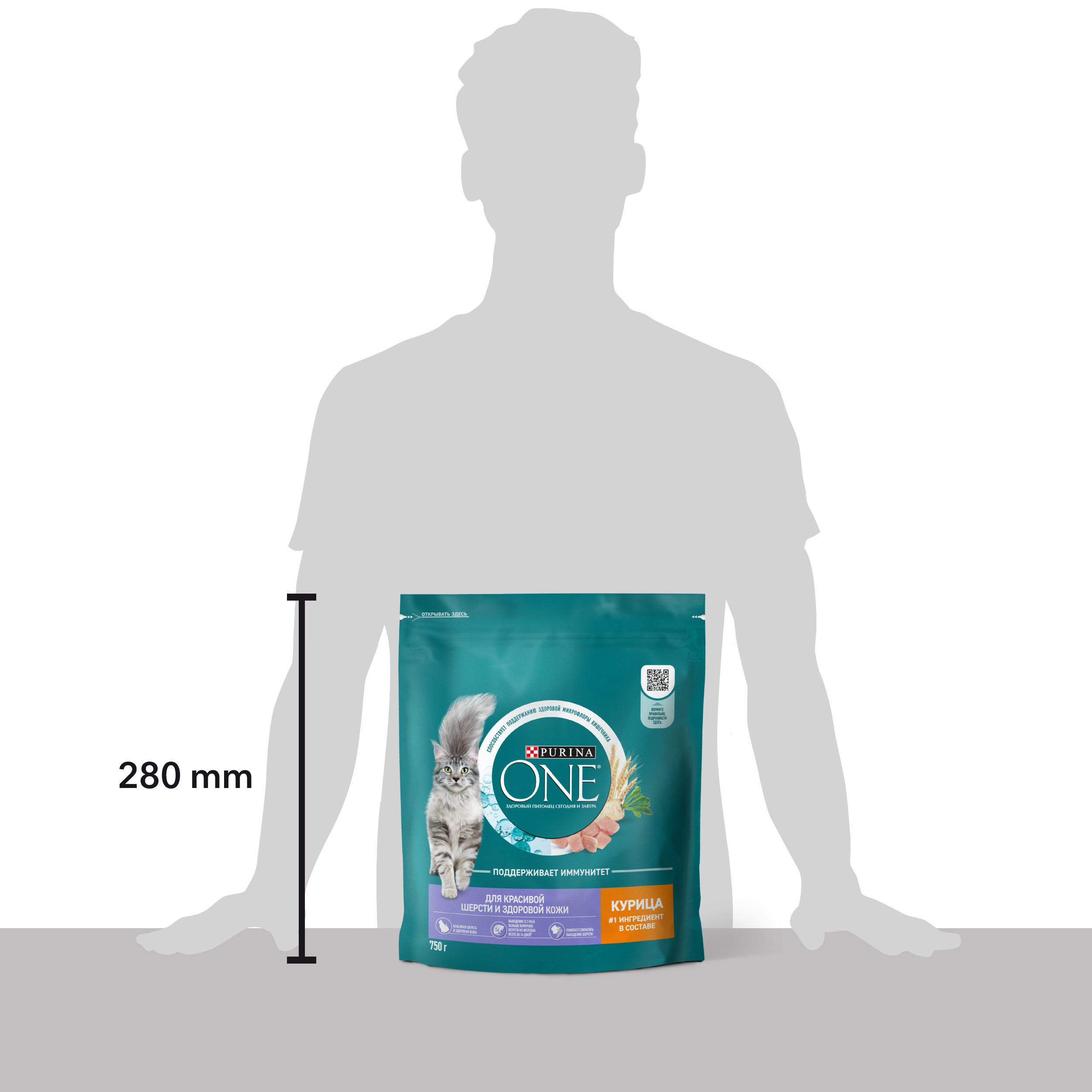 Сухой корм PURINA ONE® для взрослых кошек для красивой шерсти и здоровой кожи с курицей 750 г