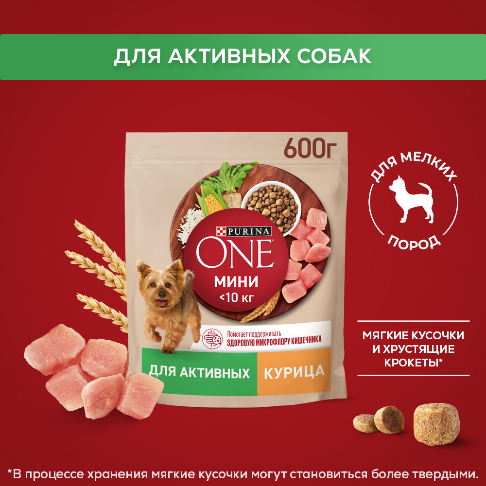 Сухой корм Purina ONE® МИНИ для активных собак мелких пород с курицей и рисом 600 г