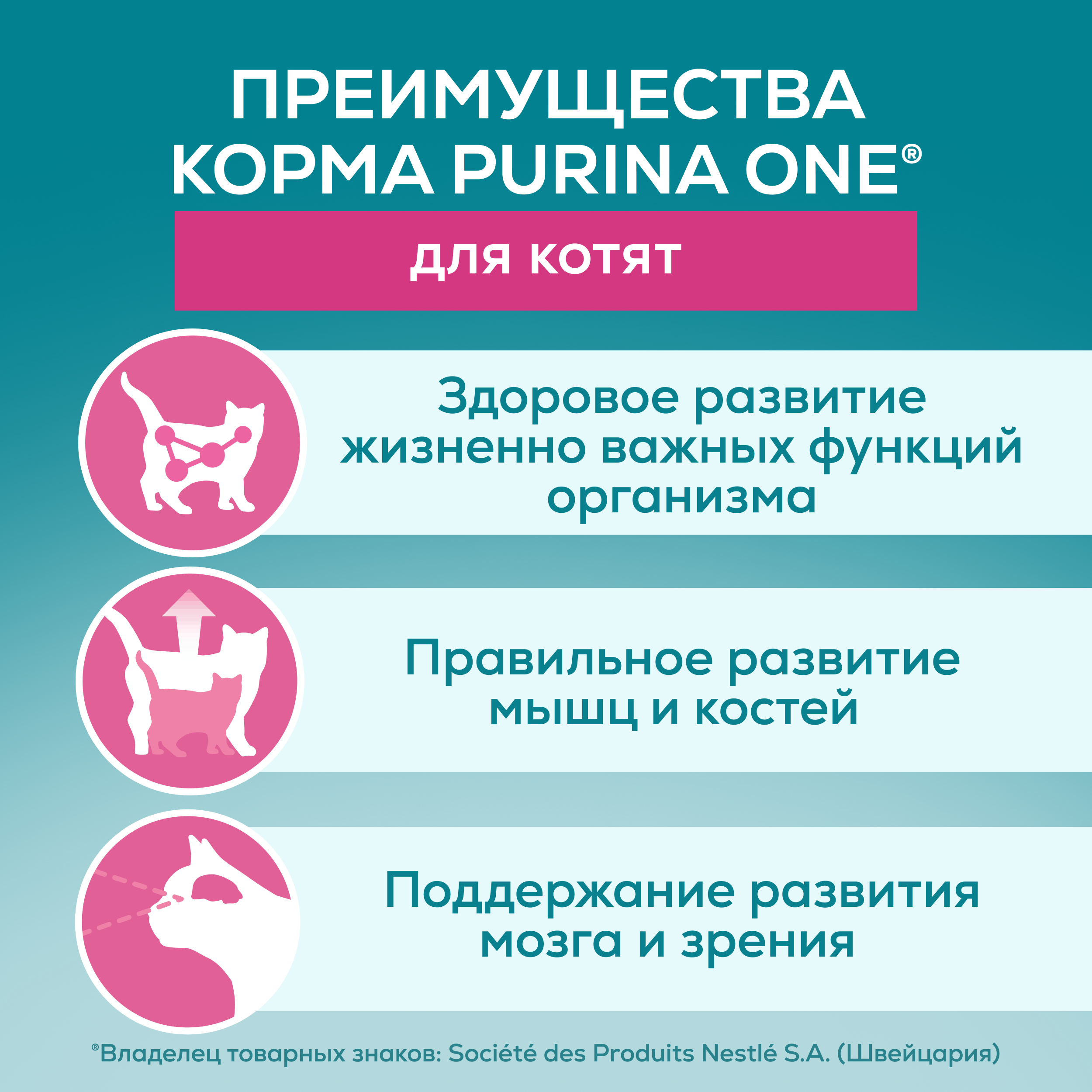 Влажный корм PURINA ONE® для котят с курицей и морковью 75 г x 26 шт