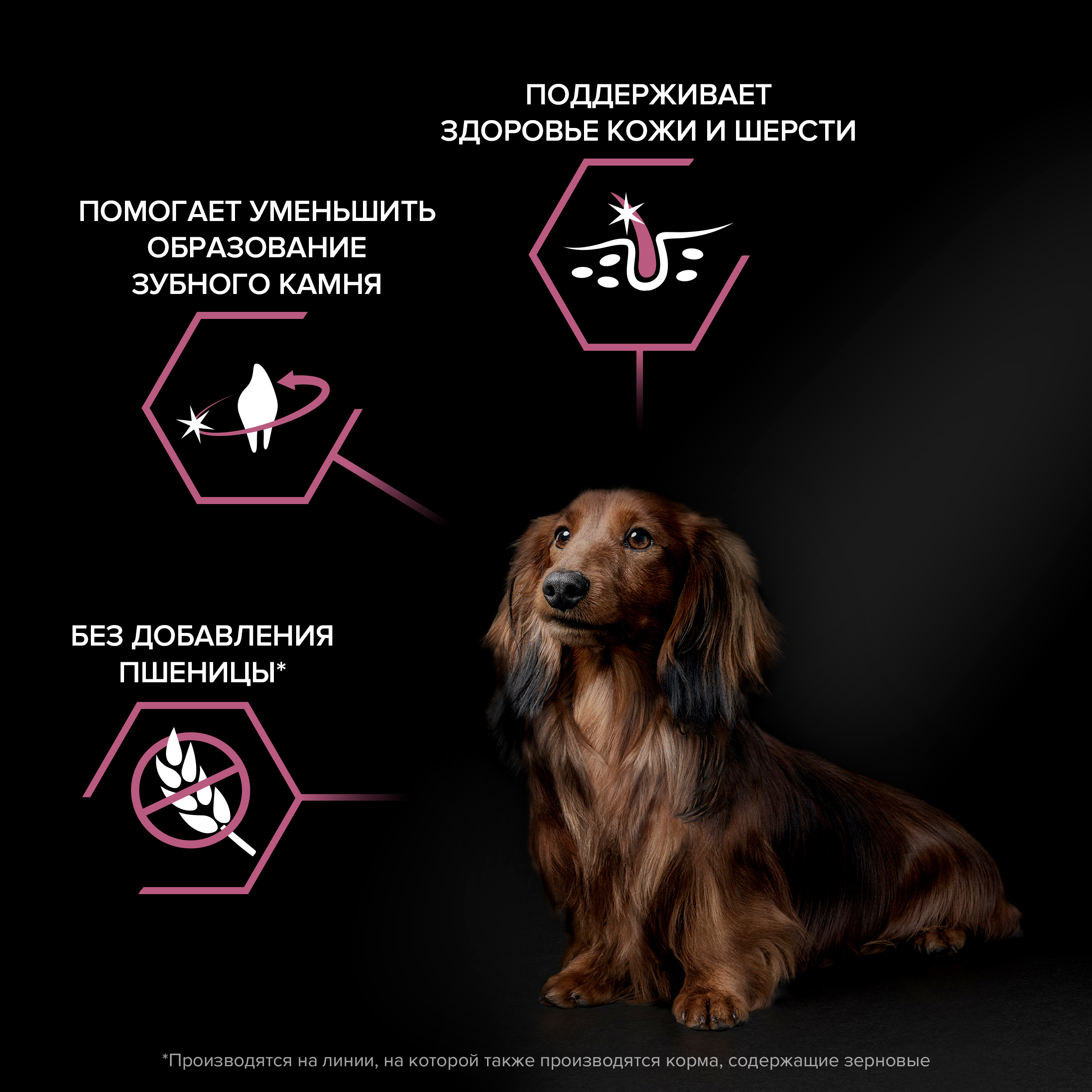 Сухой корм PRO PLAN® SENSITIVE SKIN для взрослых собак мелких и карликовых пород с чувствительной кожей с лососем, 7 кг