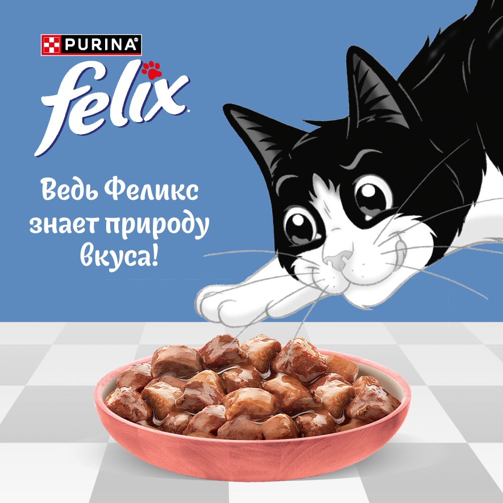 Влажный корм FELIX® Природа вкуса для кошек с лососем в соусе 75 г х 26 шт