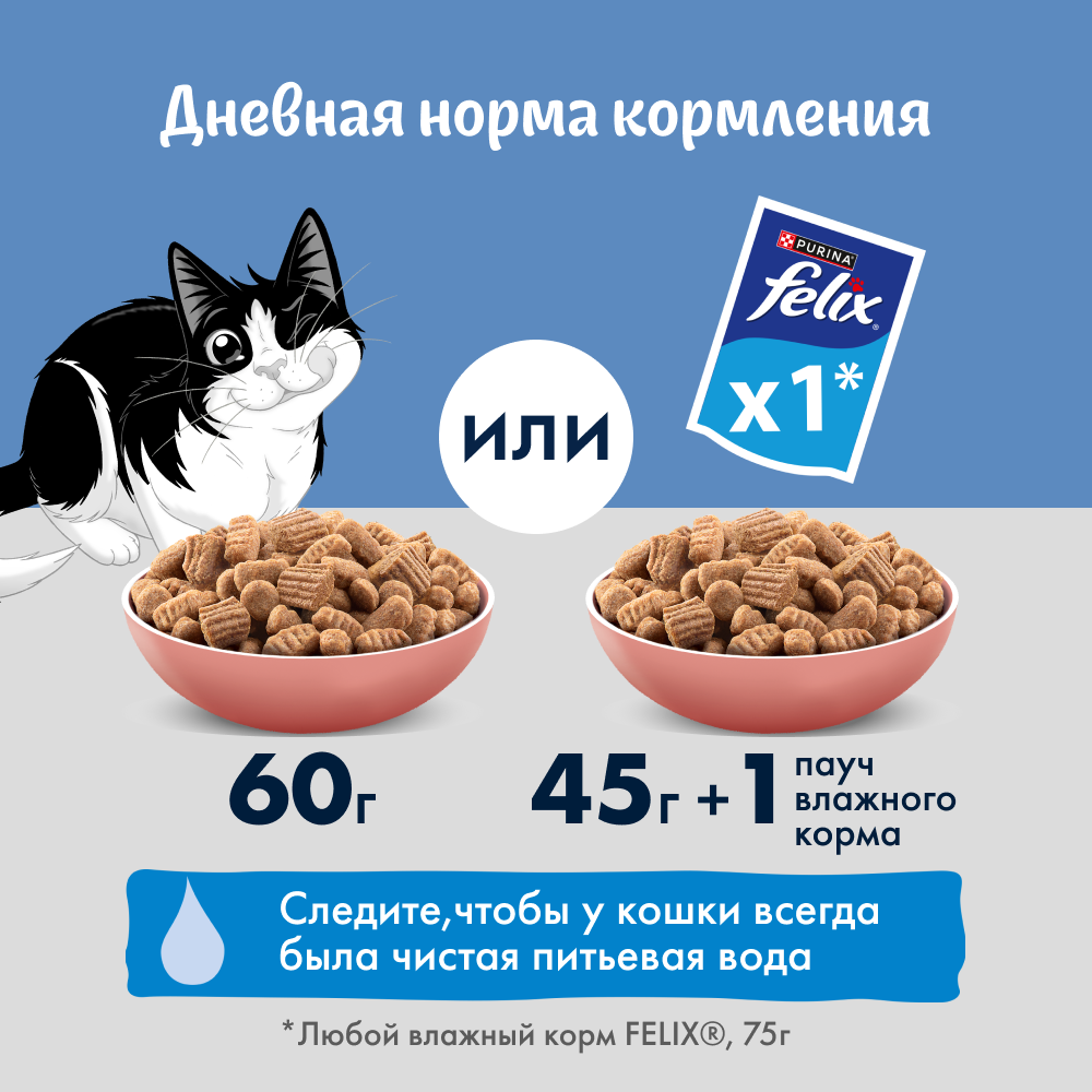 Влажный корм FELIX® Природа вкуса для кошек с лососем в соусе 75 г х 26 шт