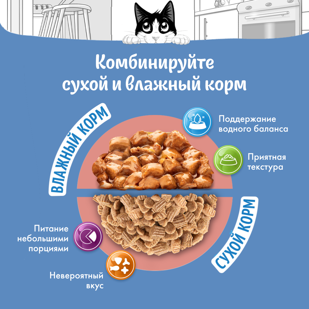 Влажный корм FELIX® Природа вкуса для кошек с лососем в соусе 75 г х 26 шт