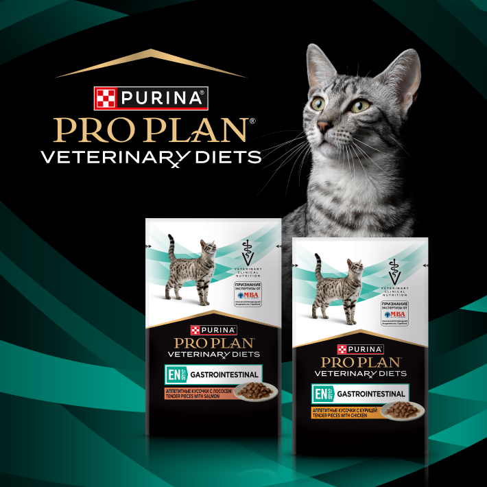 Влажный корм PRO PLAN® VETERINARY DIETS EN ST/OX Gastrointestinal диетический для кошек при расстройствах пищеварения, с лососем, 85 г х 26 шт.
